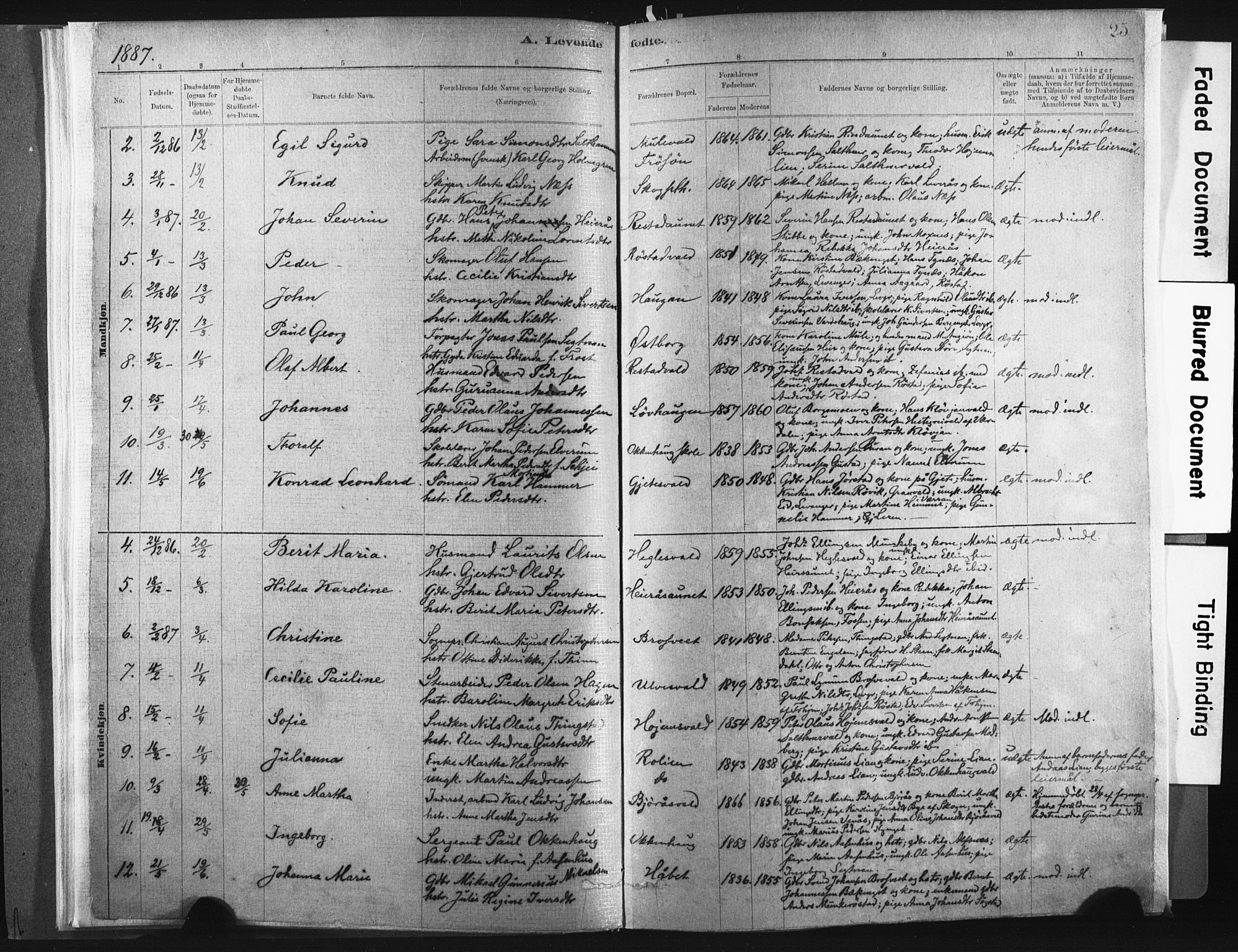 Ministerialprotokoller, klokkerbøker og fødselsregistre - Nord-Trøndelag, SAT/A-1458/721/L0207: Parish register (official) no. 721A02, 1880-1911, p. 25