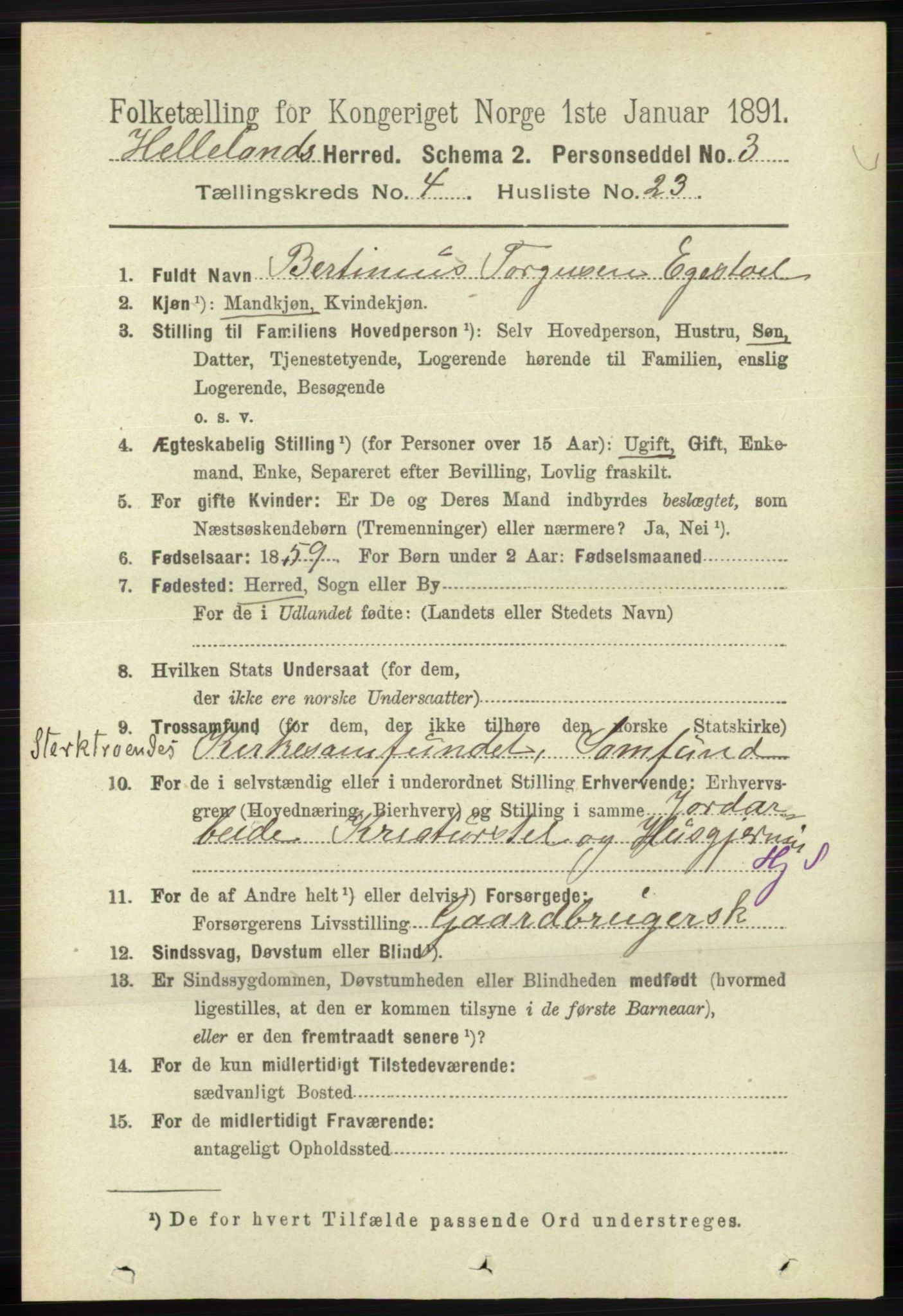 RA, 1891 census for 1115 Helleland, 1891, p. 1303