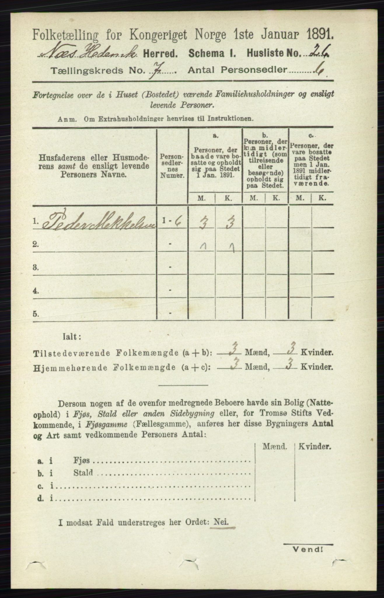RA, 1891 census for 0411 Nes, 1891, p. 3854