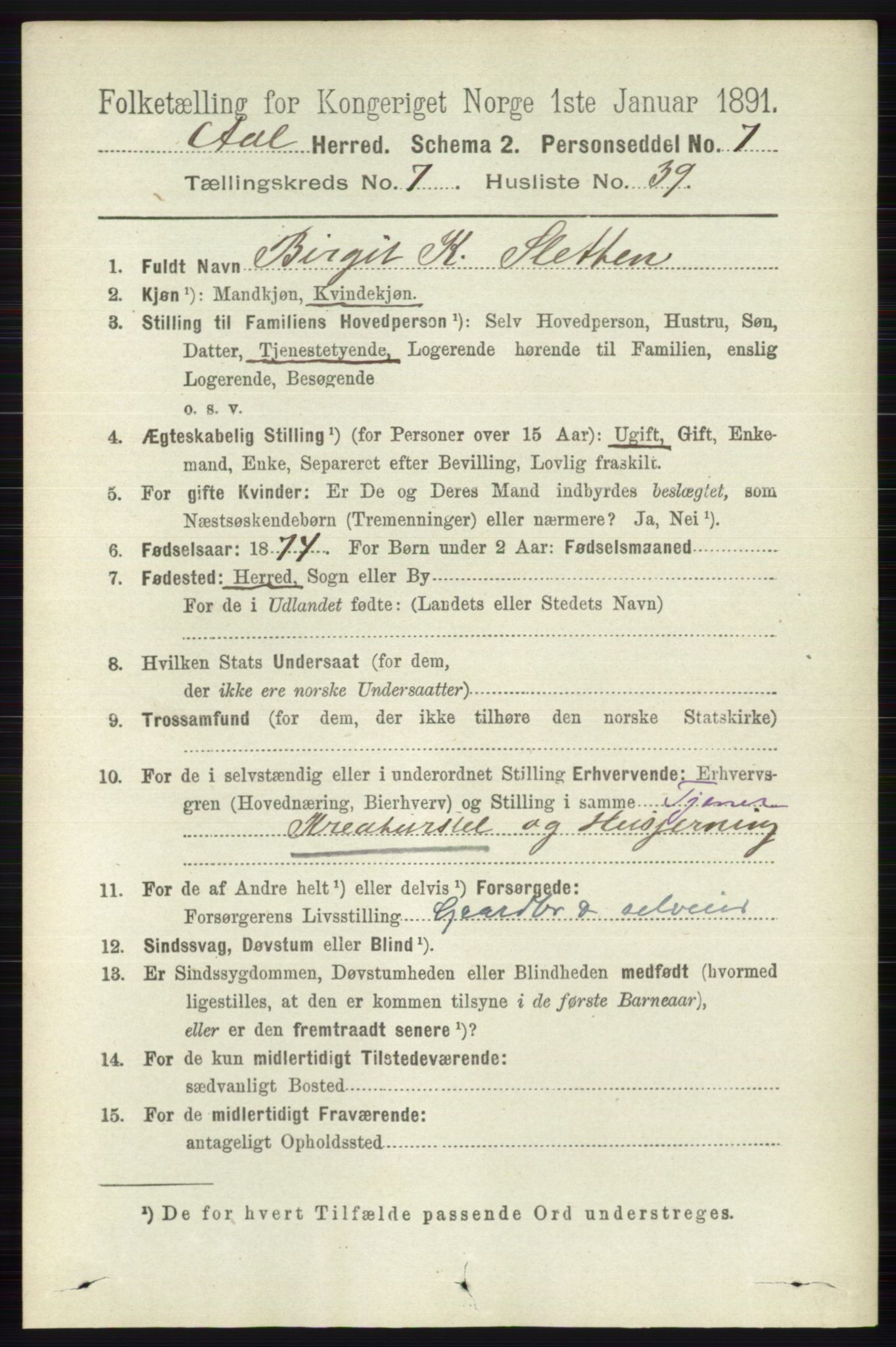 RA, 1891 census for 0619 Ål, 1891, p. 2002