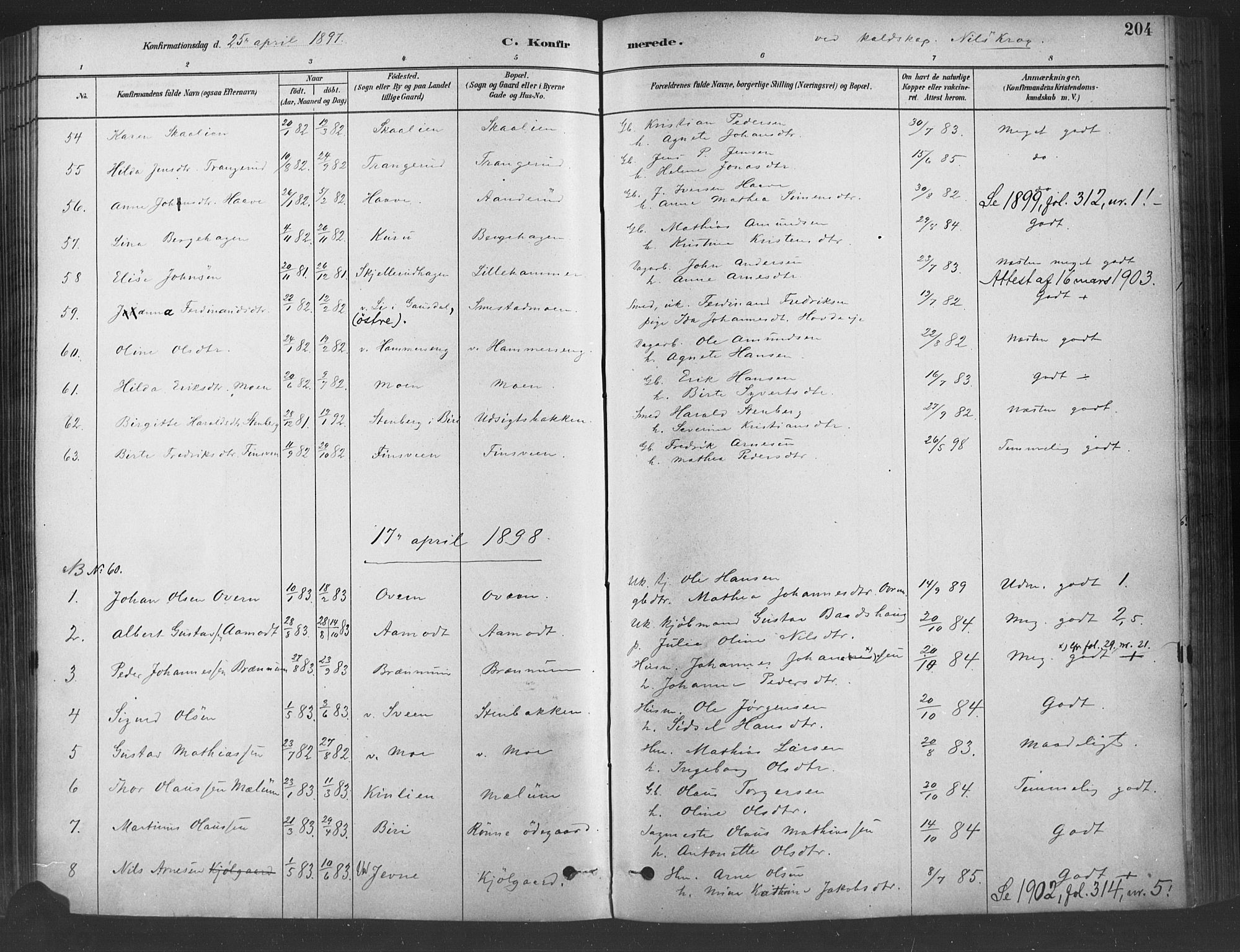 Fåberg prestekontor, SAH/PREST-086/H/Ha/Haa/L0009: Parish register (official) no. 9, 1879-1898, p. 204
