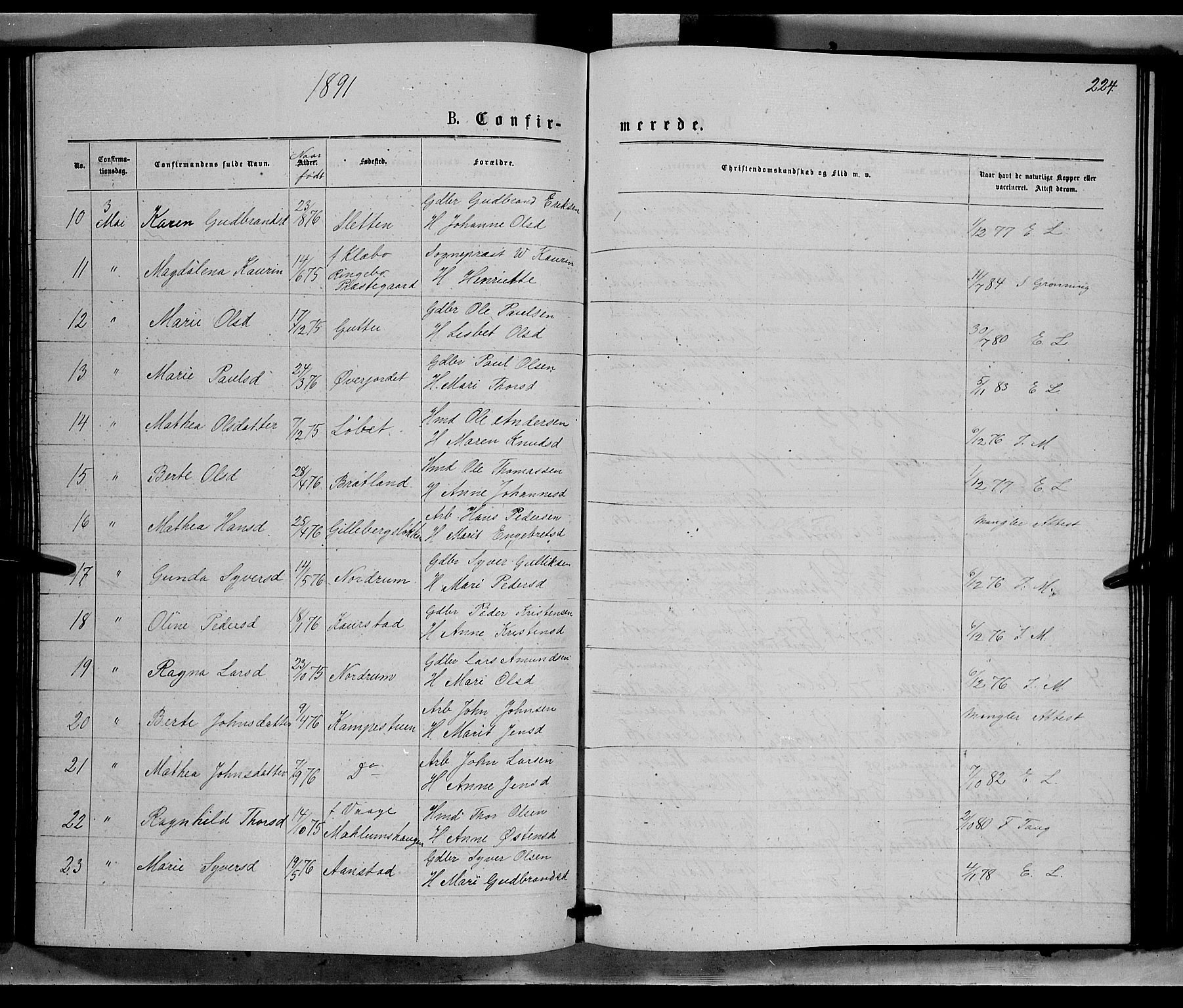Ringebu prestekontor, SAH/PREST-082/H/Ha/Hab/L0006: Parish register (copy) no. 6, 1880-1898, p. 224
