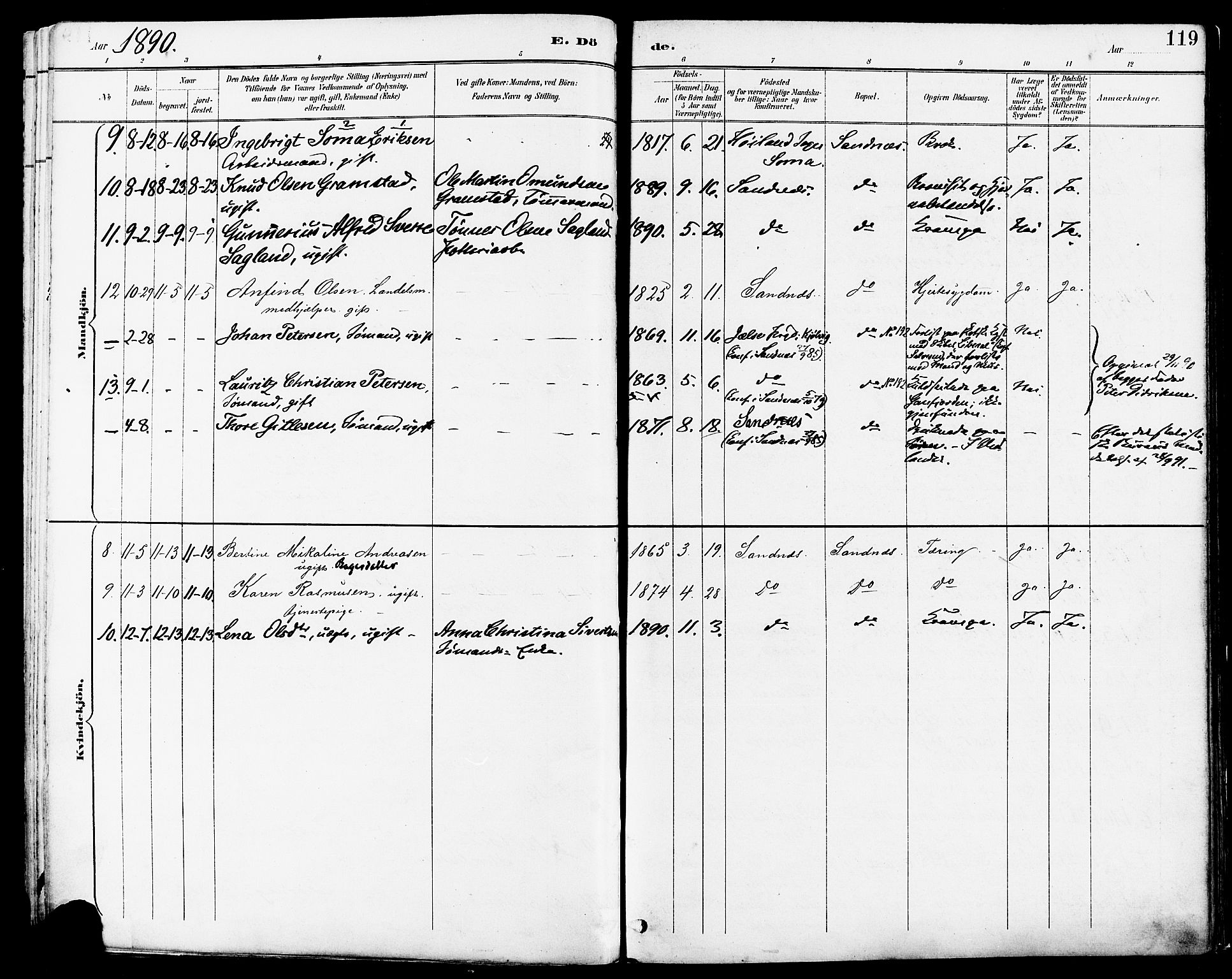 Høyland sokneprestkontor, SAST/A-101799/001/30BA/L0014: Parish register (official) no. A 12, 1890-1898, p. 119