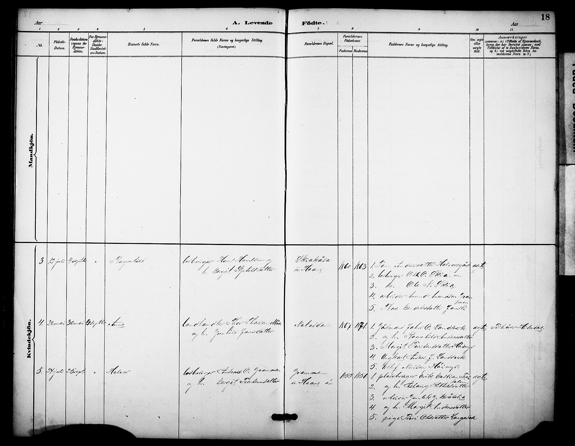 Heddal kirkebøker, SAKO/A-268/F/Fb/L0001: Parish register (official) no. II 1, 1884-1910, p. 18