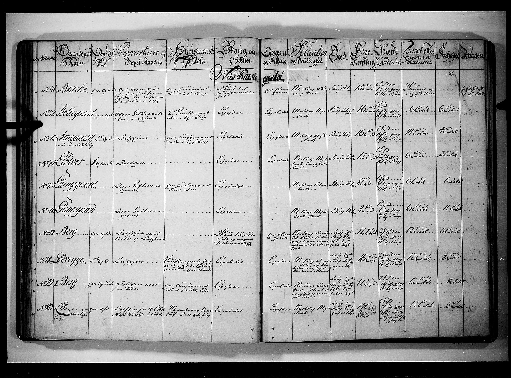 Rentekammeret inntil 1814, Realistisk ordnet avdeling, AV/RA-EA-4070/N/Nb/Nbf/L0109: Ringerike og Hallingdal eksaminasjonsprotokoll, 1723, p. 79b-80a