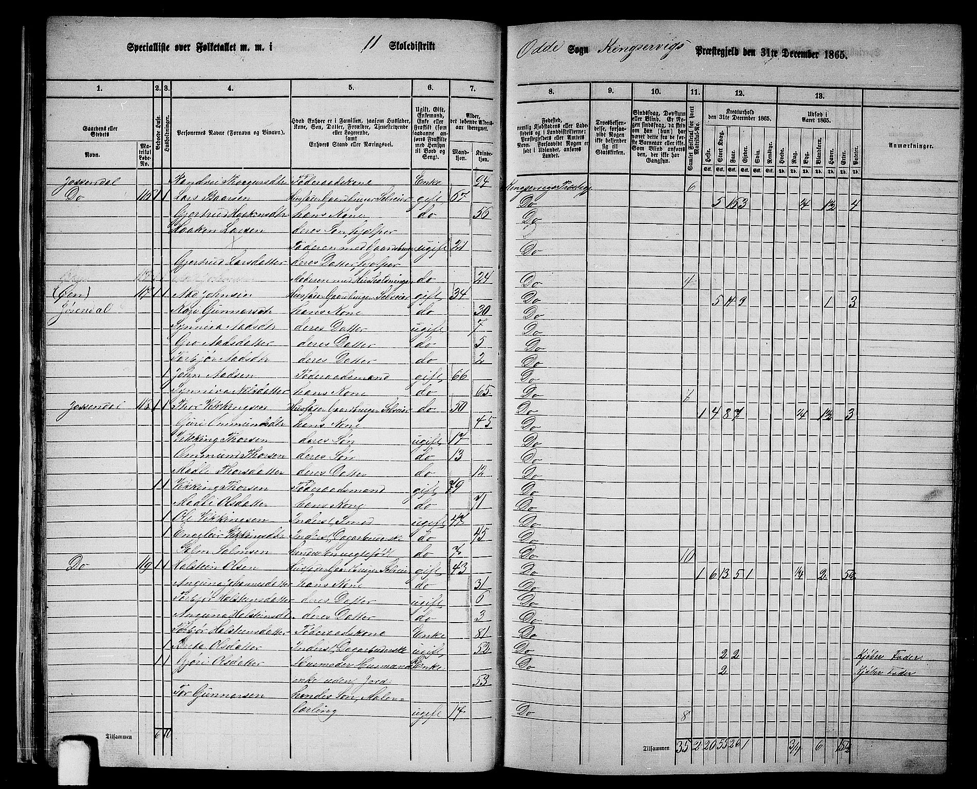 RA, 1865 census for Kinsarvik, 1865, p. 28