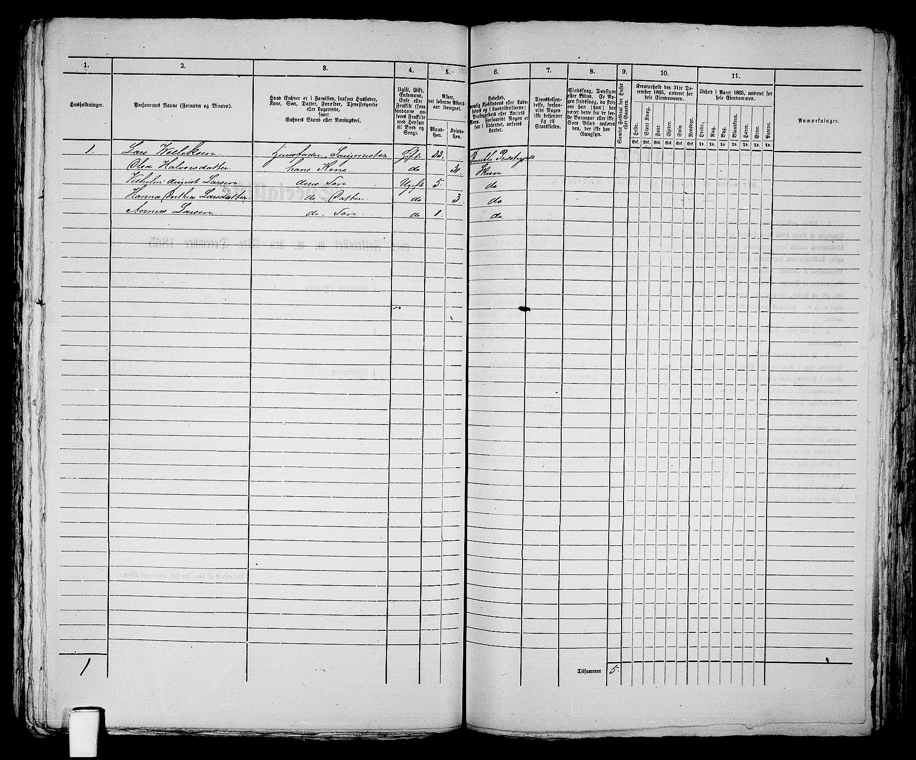 RA, 1865 census for Skien, 1865, p. 660