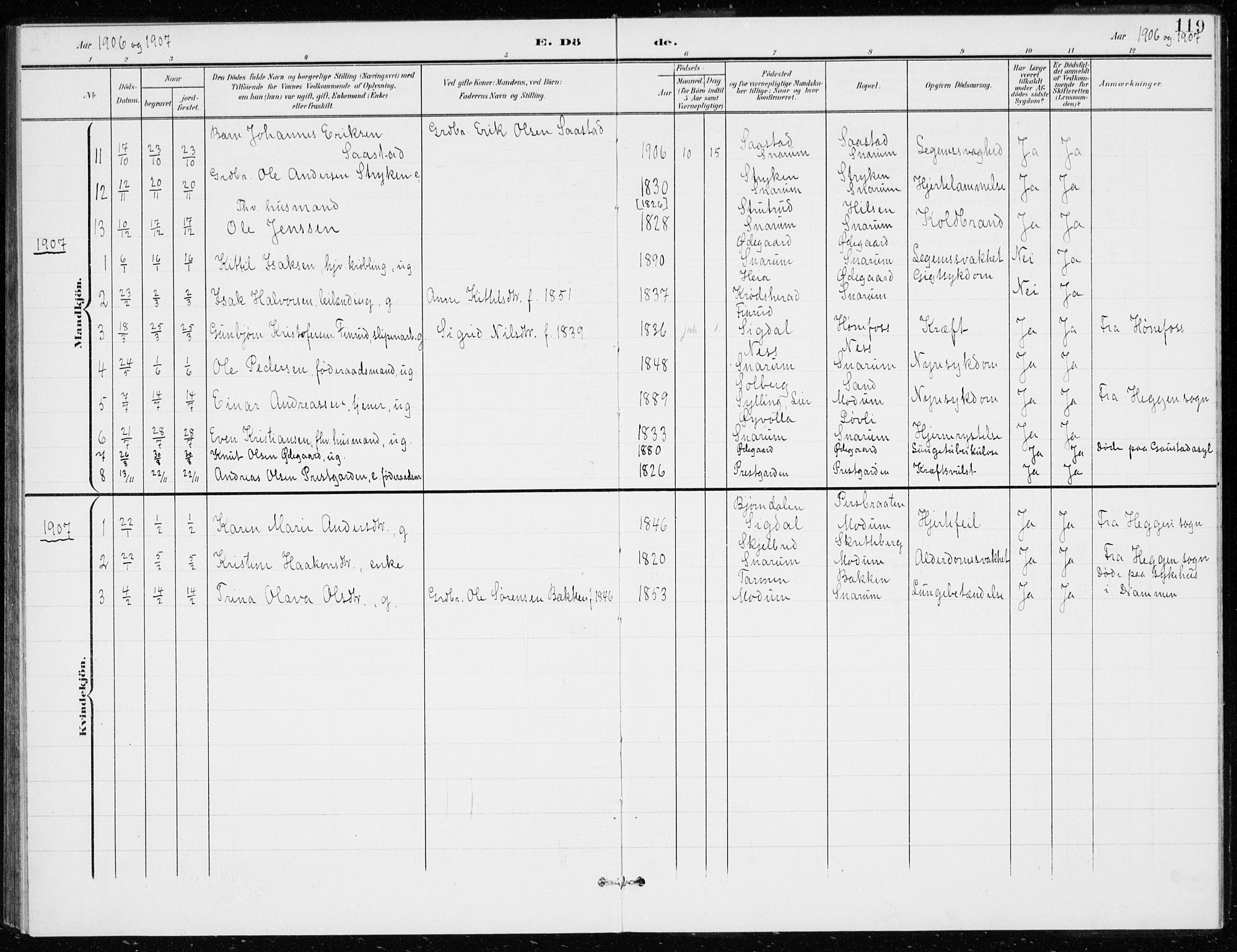 Modum kirkebøker, AV/SAKO-A-234/G/Gd/L0001: Parish register (copy) no. IV 1, 1901-1921, p. 119