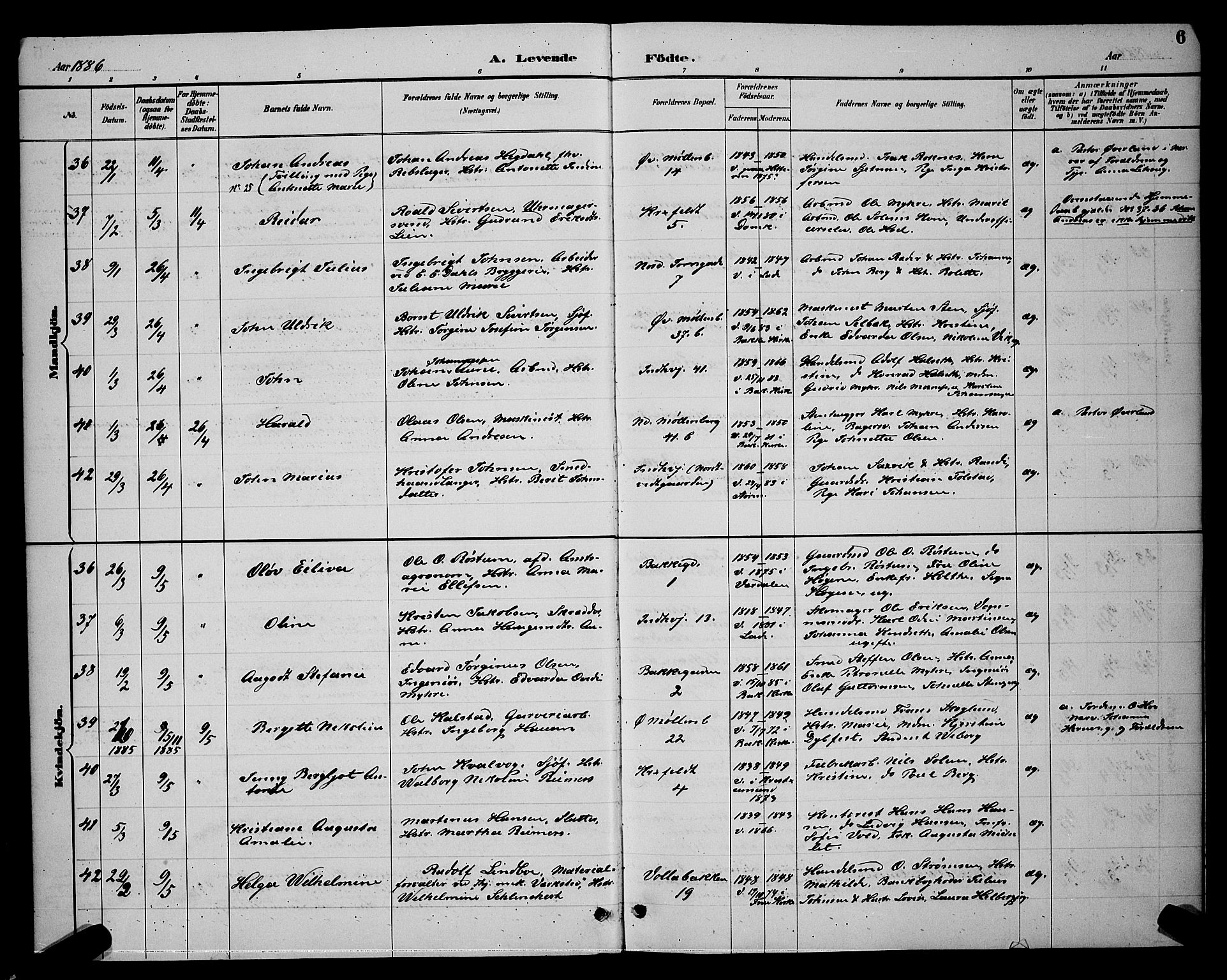 Ministerialprotokoller, klokkerbøker og fødselsregistre - Sør-Trøndelag, AV/SAT-A-1456/604/L0222: Parish register (copy) no. 604C05, 1886-1895, p. 6