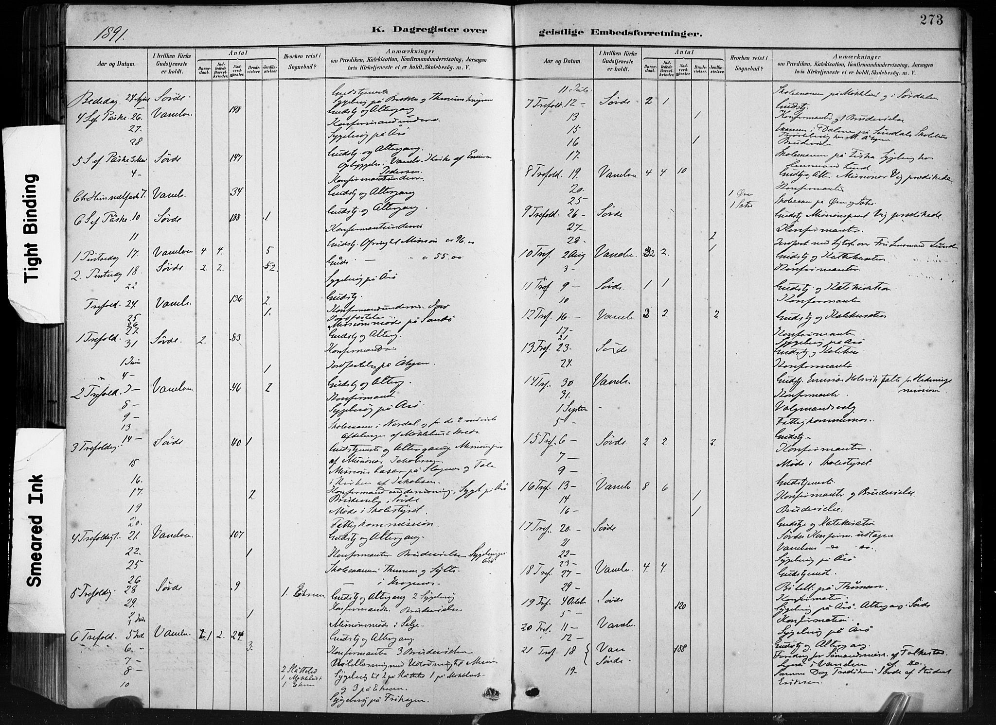 Ministerialprotokoller, klokkerbøker og fødselsregistre - Møre og Romsdal, AV/SAT-A-1454/501/L0008: Parish register (official) no. 501A08, 1885-1901, p. 273