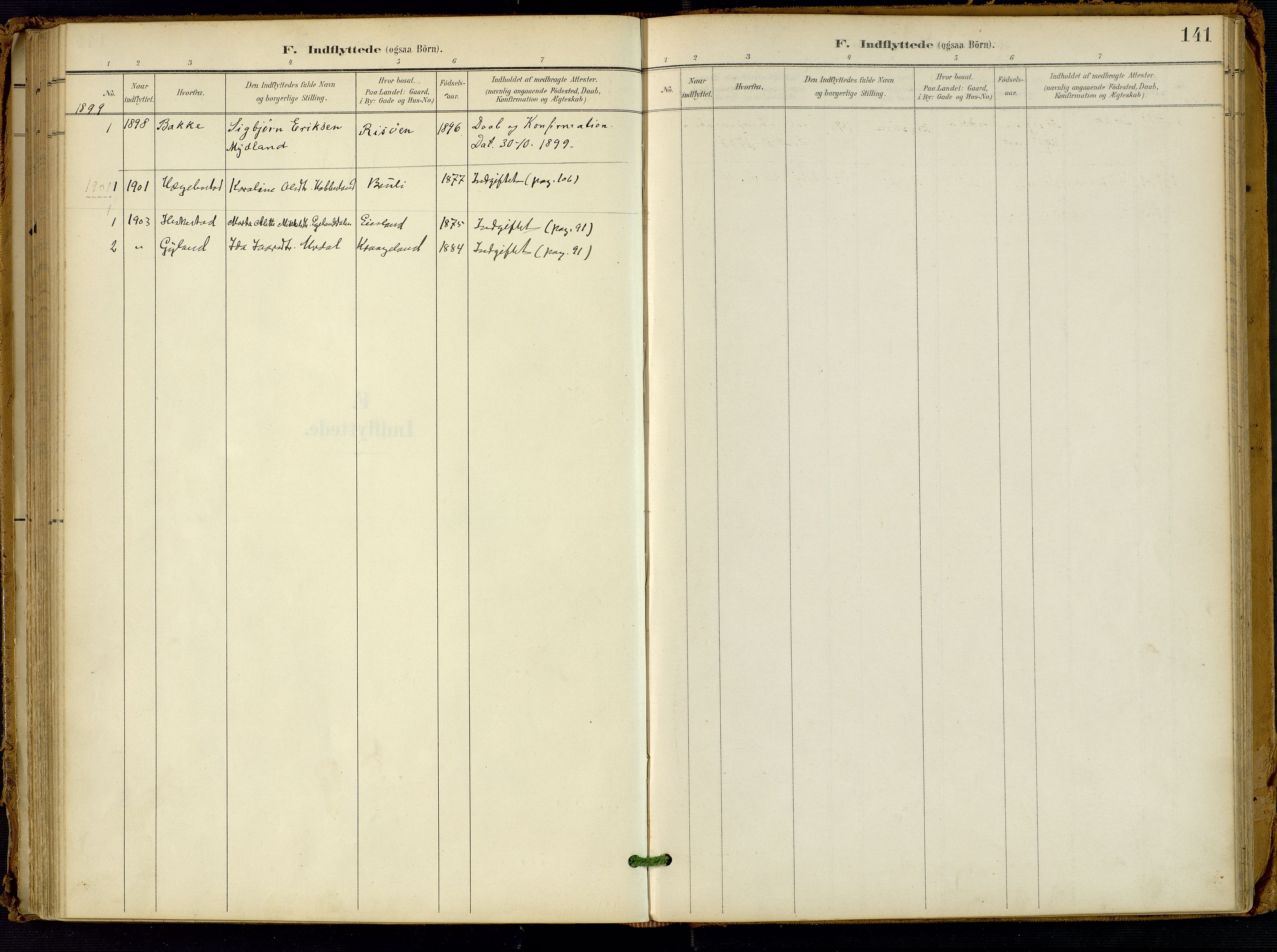 Fjotland sokneprestkontor, SAK/1111-0010/F/Fa/L0003: Parish register (official) no. A 3, 1899-1917, p. 141