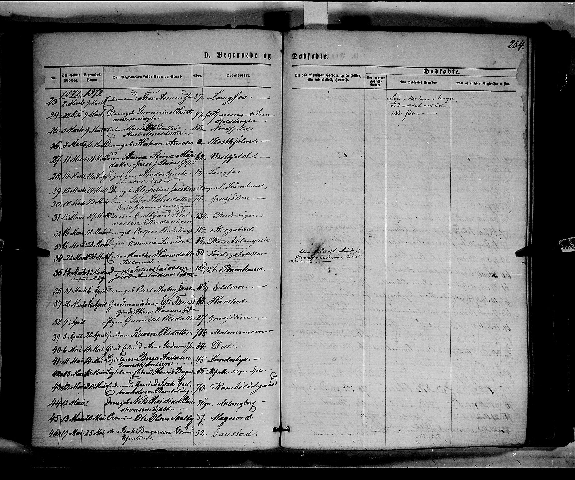 Eidskog prestekontor, AV/SAH-PREST-026/H/Ha/Haa/L0002: Parish register (official) no. 2, 1867-1878, p. 254