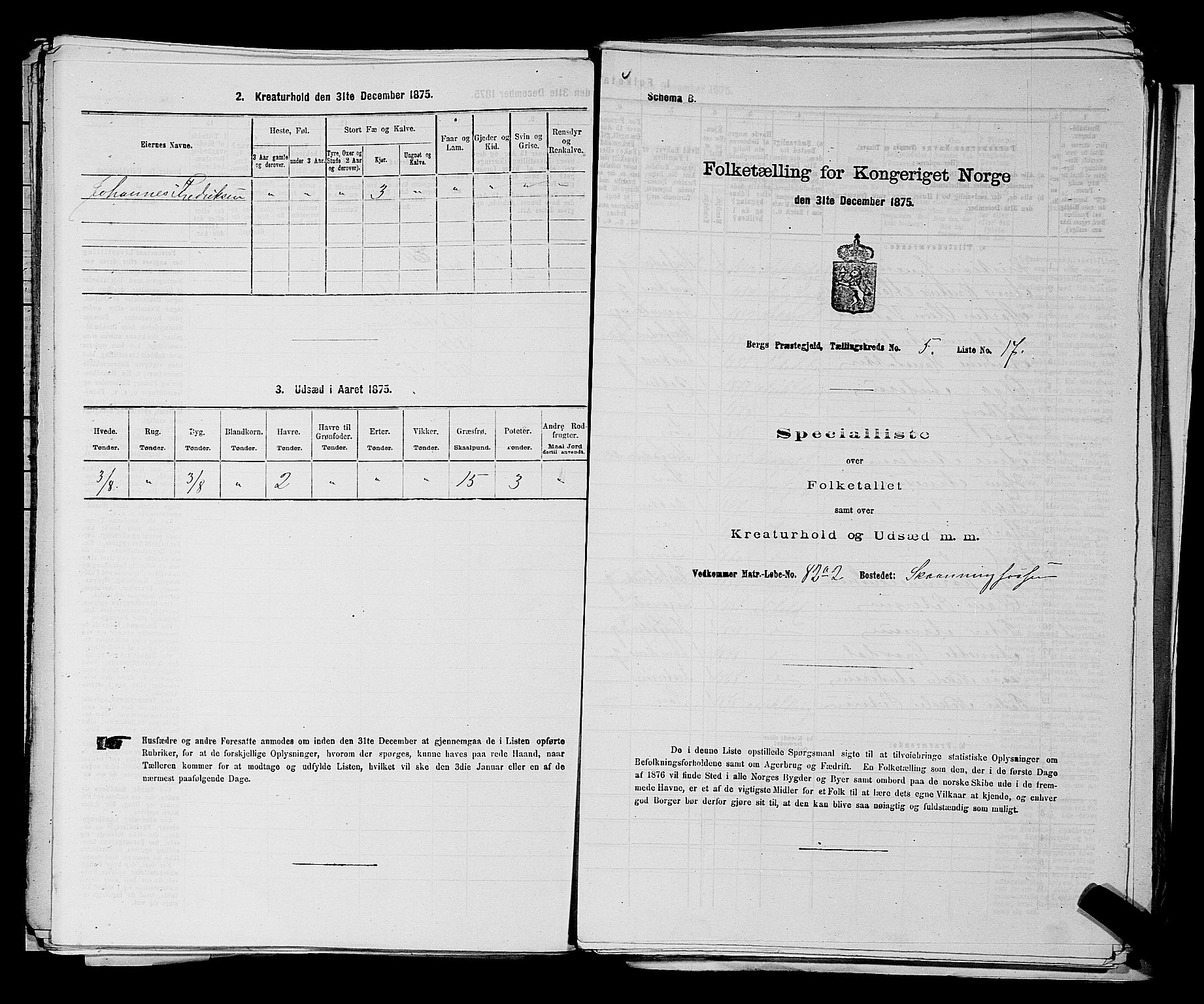 RA, 1875 census for 0116P Berg, 1875, p. 705