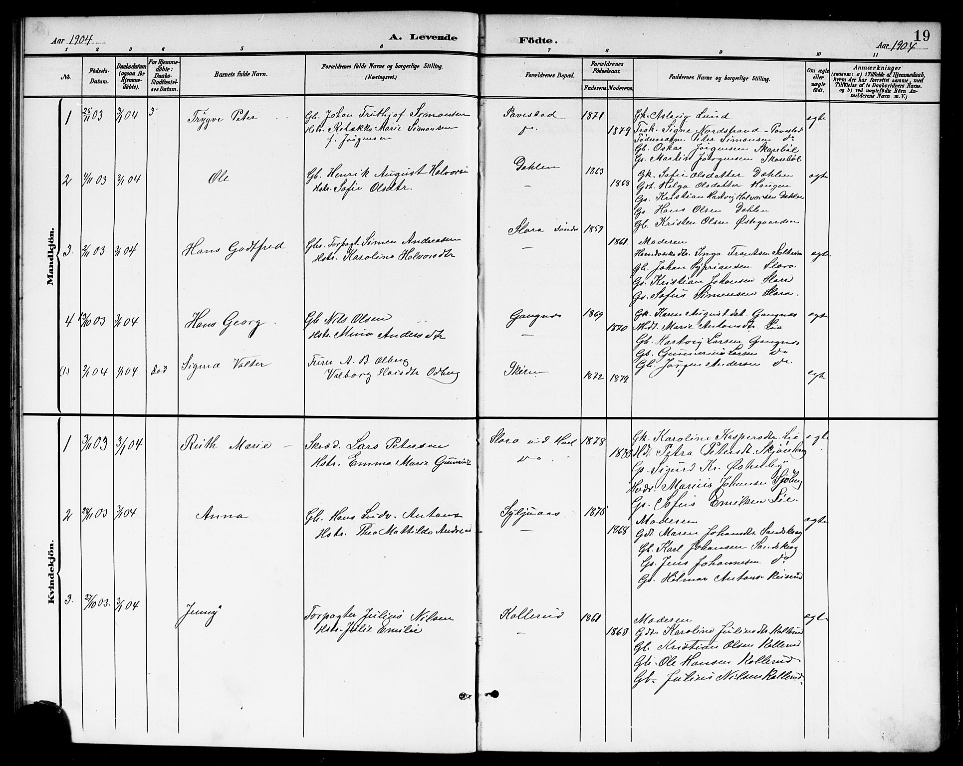 Høland prestekontor Kirkebøker, SAO/A-10346a/G/Gb/L0001: Parish register (copy) no. II 1, 1902-1919, p. 19