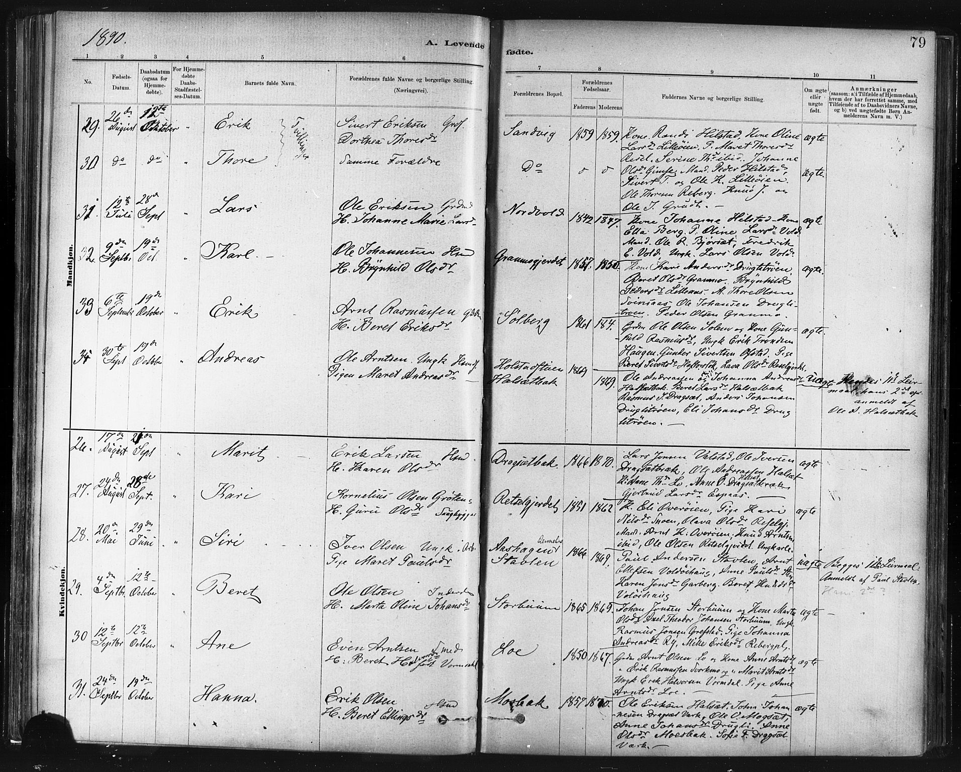 Ministerialprotokoller, klokkerbøker og fødselsregistre - Sør-Trøndelag, SAT/A-1456/672/L0857: Parish register (official) no. 672A09, 1882-1893, p. 79