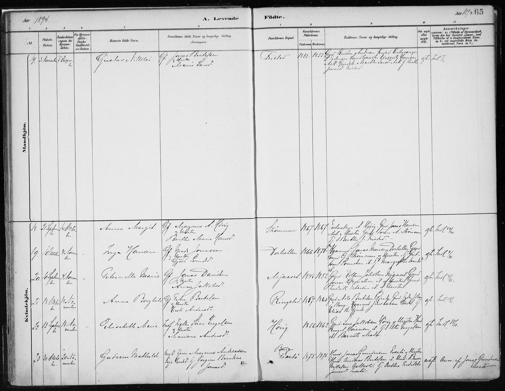 Askvoll sokneprestembete, AV/SAB-A-79501/H/Haa/Haab/L0002: Parish register (official) no. B 2, 1879-1909, p. 65