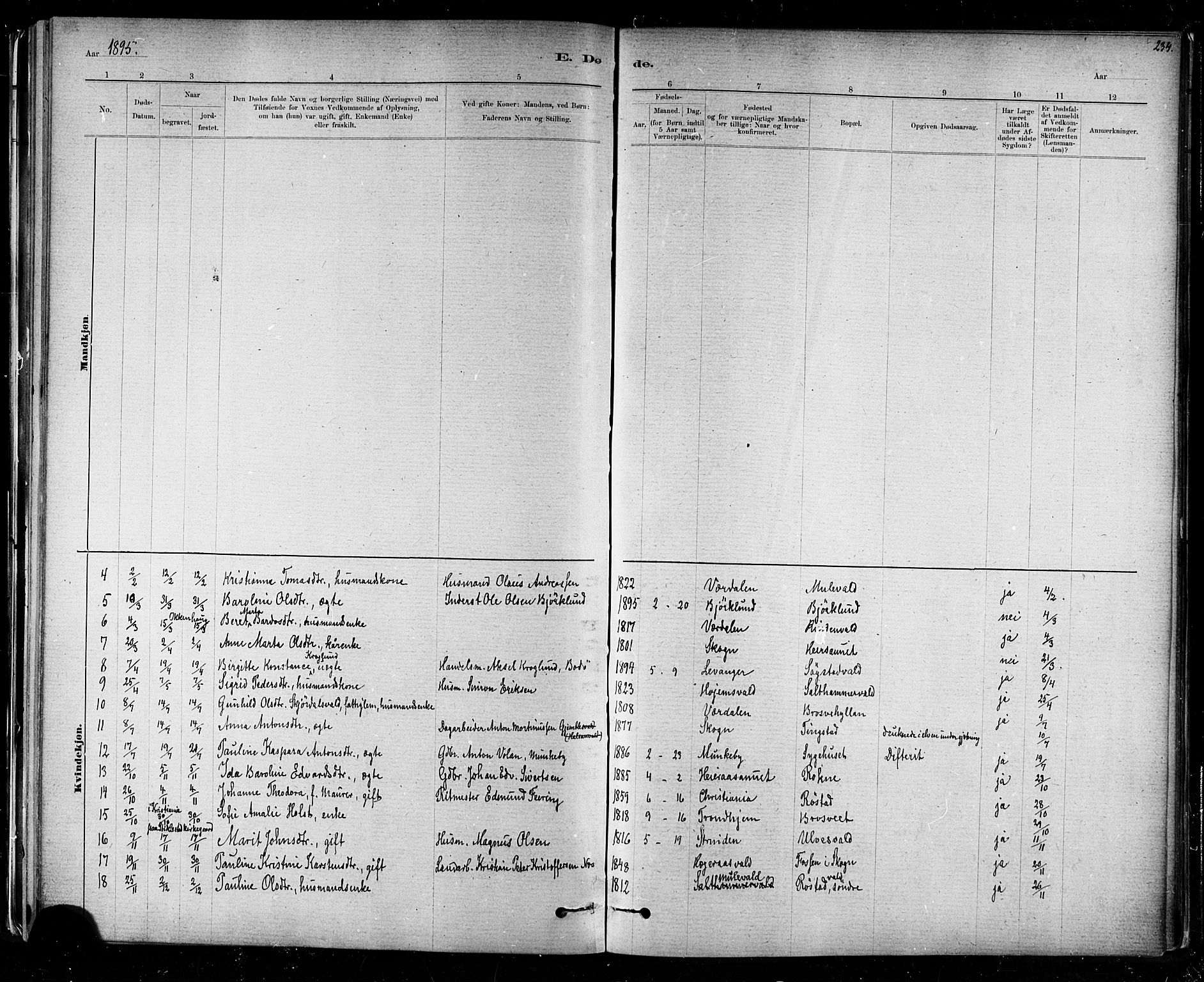 Ministerialprotokoller, klokkerbøker og fødselsregistre - Nord-Trøndelag, AV/SAT-A-1458/721/L0208: Parish register (copy) no. 721C01, 1880-1917, p. 234