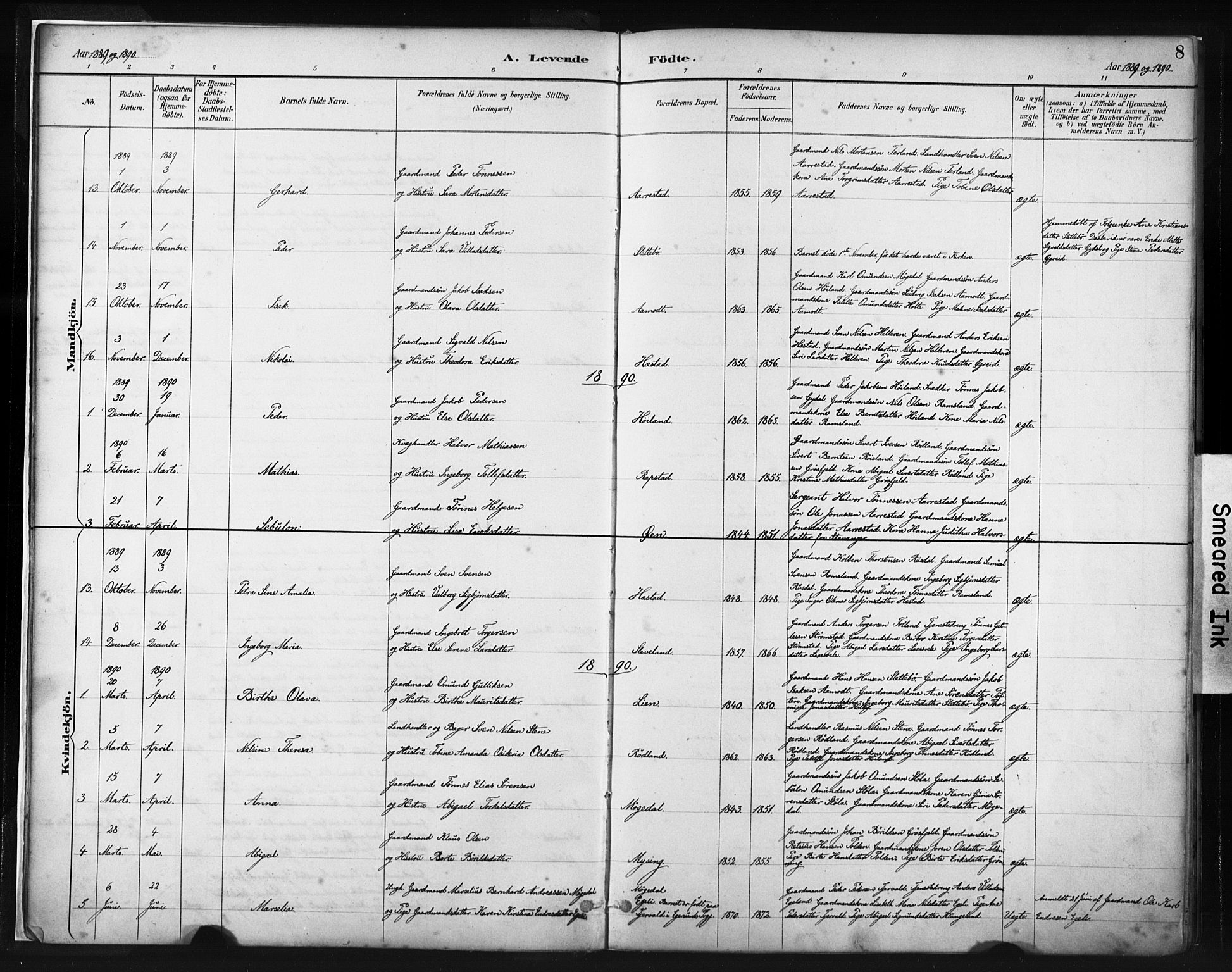 Helleland sokneprestkontor, AV/SAST-A-101810/S05/L0011: Parish register (official) no. A 8, 1887-1907, p. 8