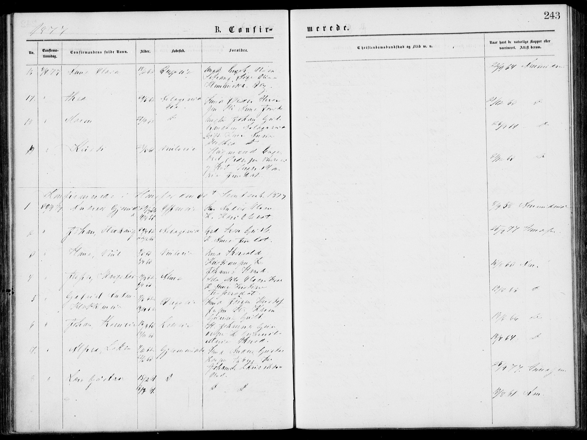 Norderhov kirkebøker, AV/SAKO-A-237/G/Gb/L0001: Parish register (copy) no. II 1, 1876-1899, p. 243