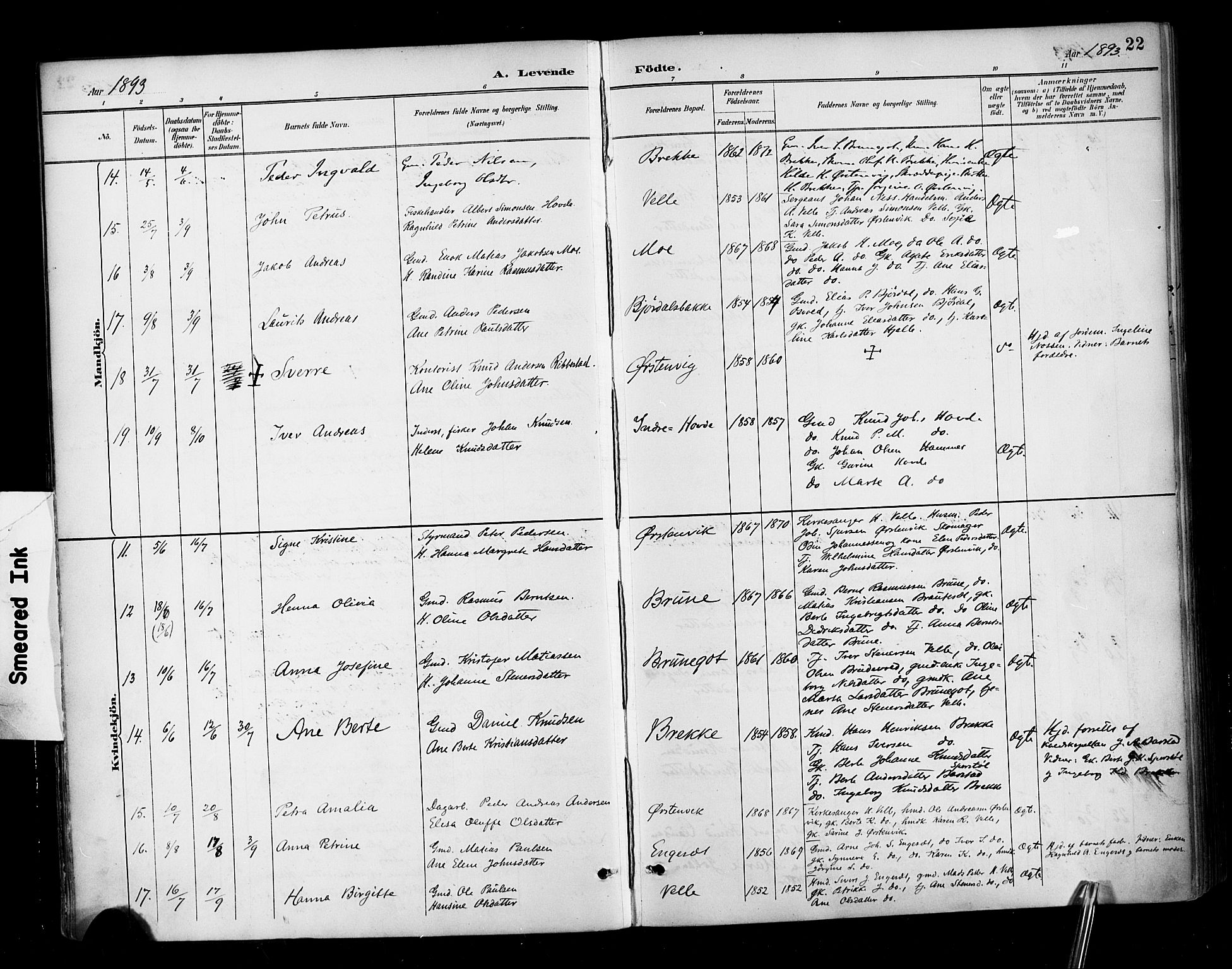 Ministerialprotokoller, klokkerbøker og fødselsregistre - Møre og Romsdal, AV/SAT-A-1454/513/L0177: Parish register (official) no. 513A04, 1890-1906, p. 22