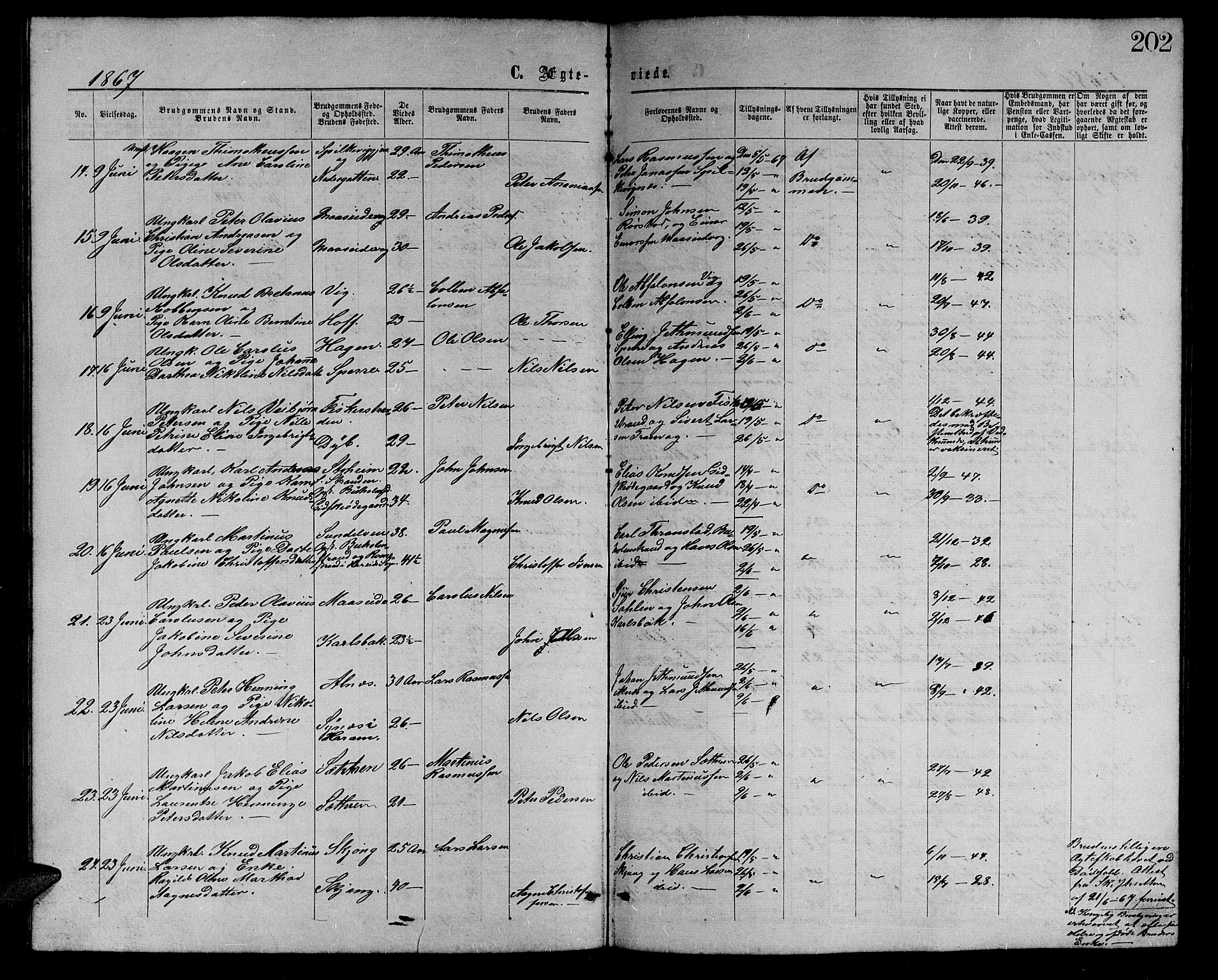 Ministerialprotokoller, klokkerbøker og fødselsregistre - Møre og Romsdal, AV/SAT-A-1454/528/L0428: Parish register (copy) no. 528C09, 1864-1880, p. 202