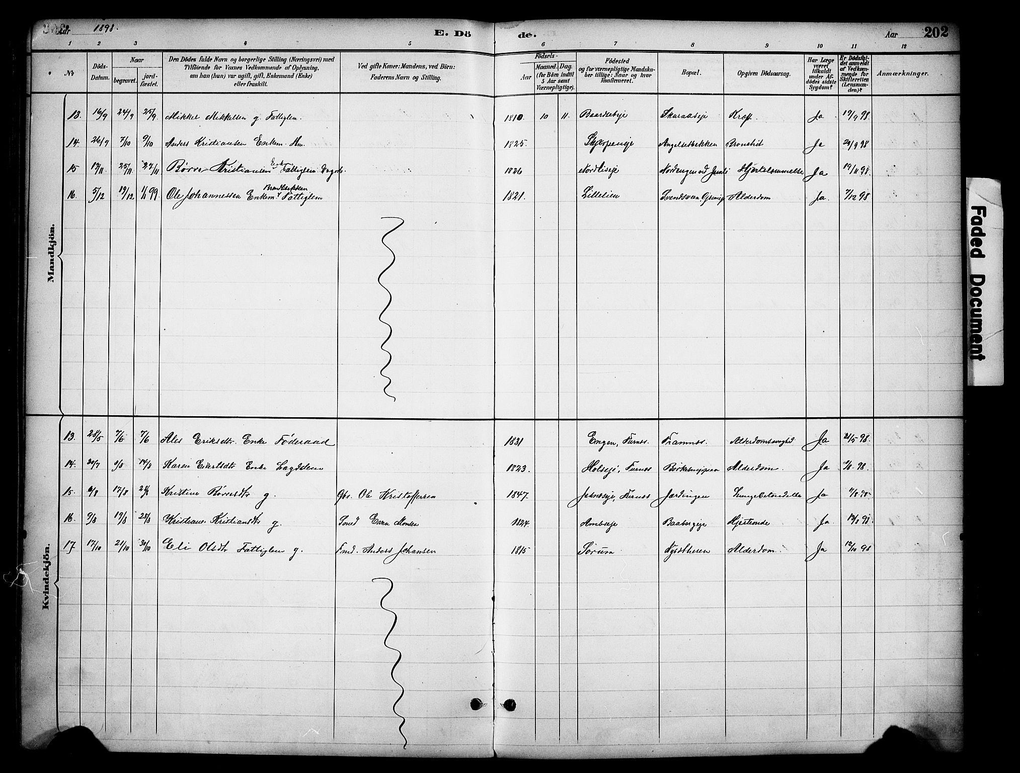 Ringsaker prestekontor, AV/SAH-PREST-014/K/Ka/L0016: Parish register (official) no. 16, 1891-1904, p. 202