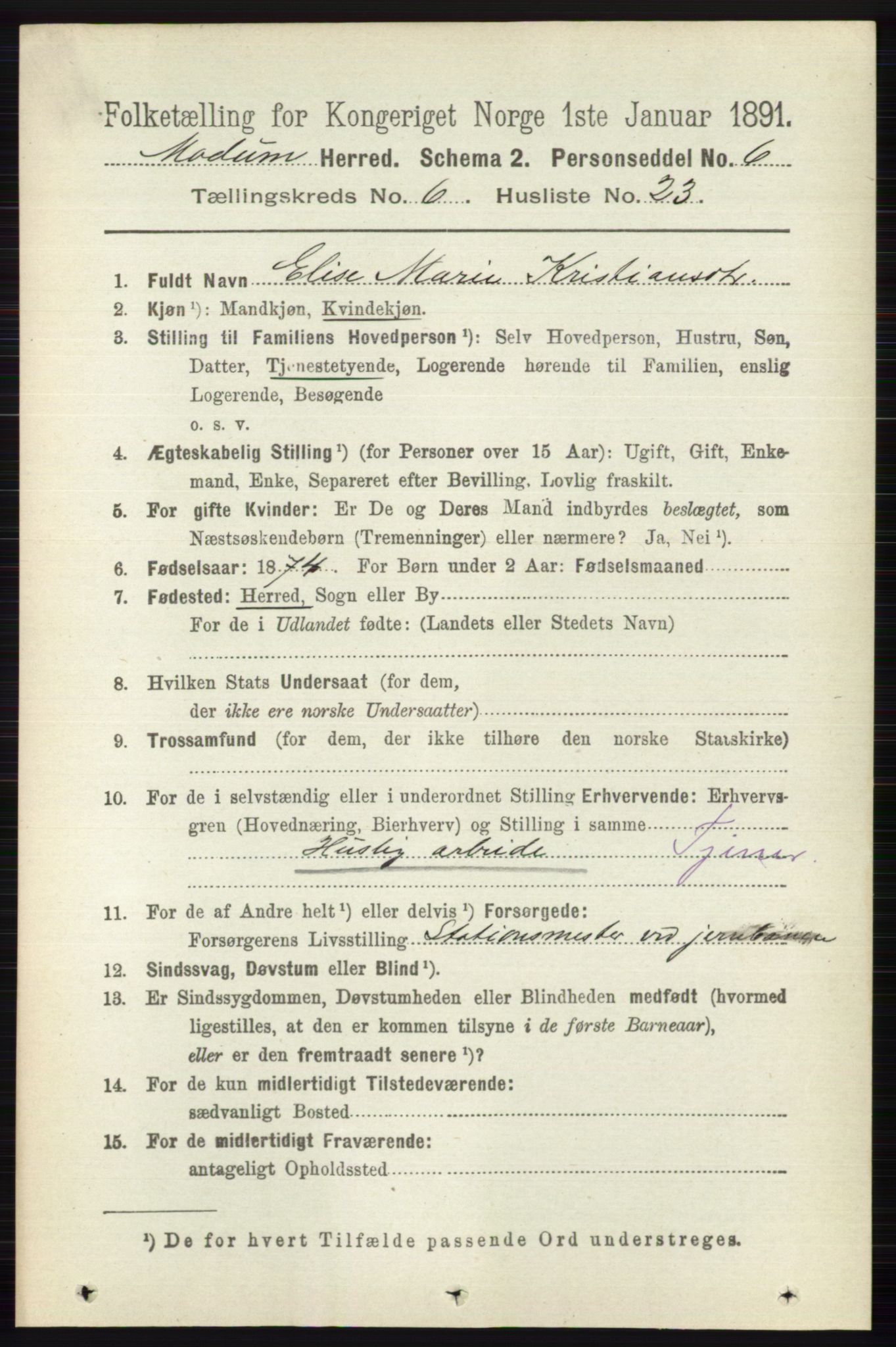 RA, 1891 census for 0623 Modum, 1891, p. 2307