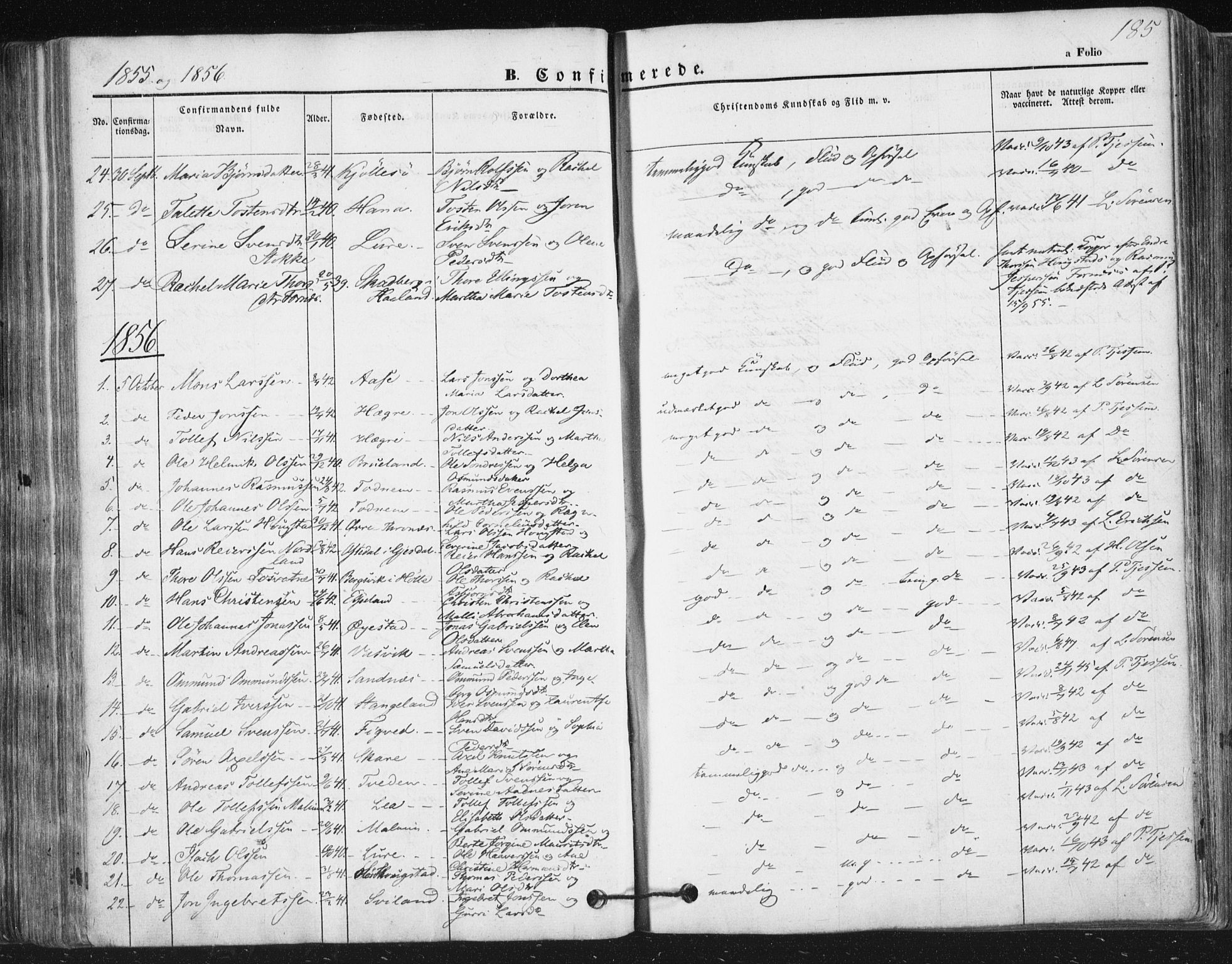 Høyland sokneprestkontor, SAST/A-101799/001/30BA/L0008: Parish register (official) no. A 8, 1841-1856, p. 185