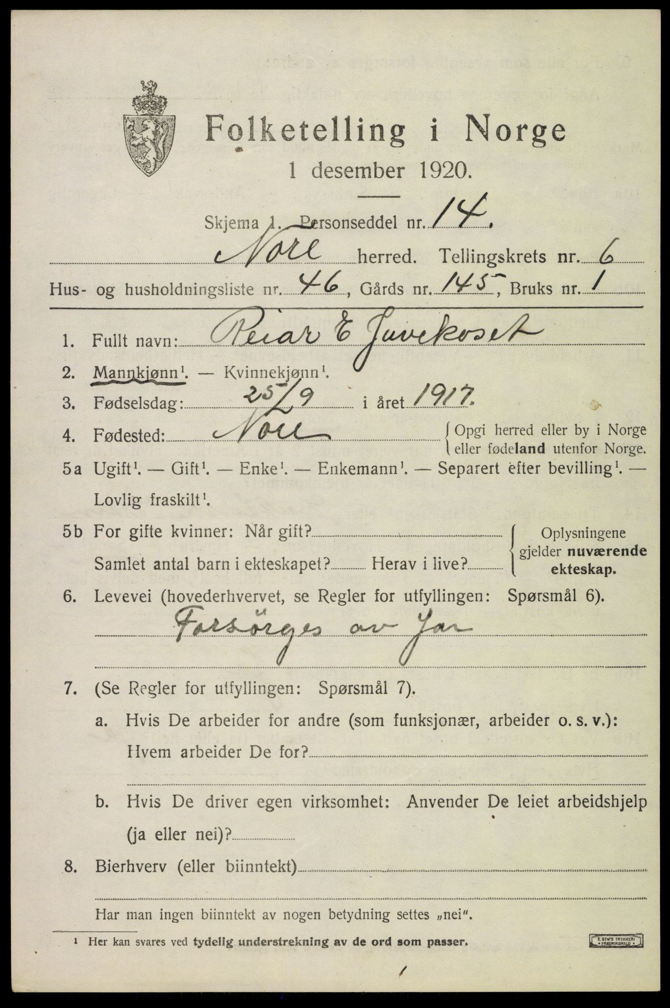 SAKO, 1920 census for Nore, 1920, p. 3044