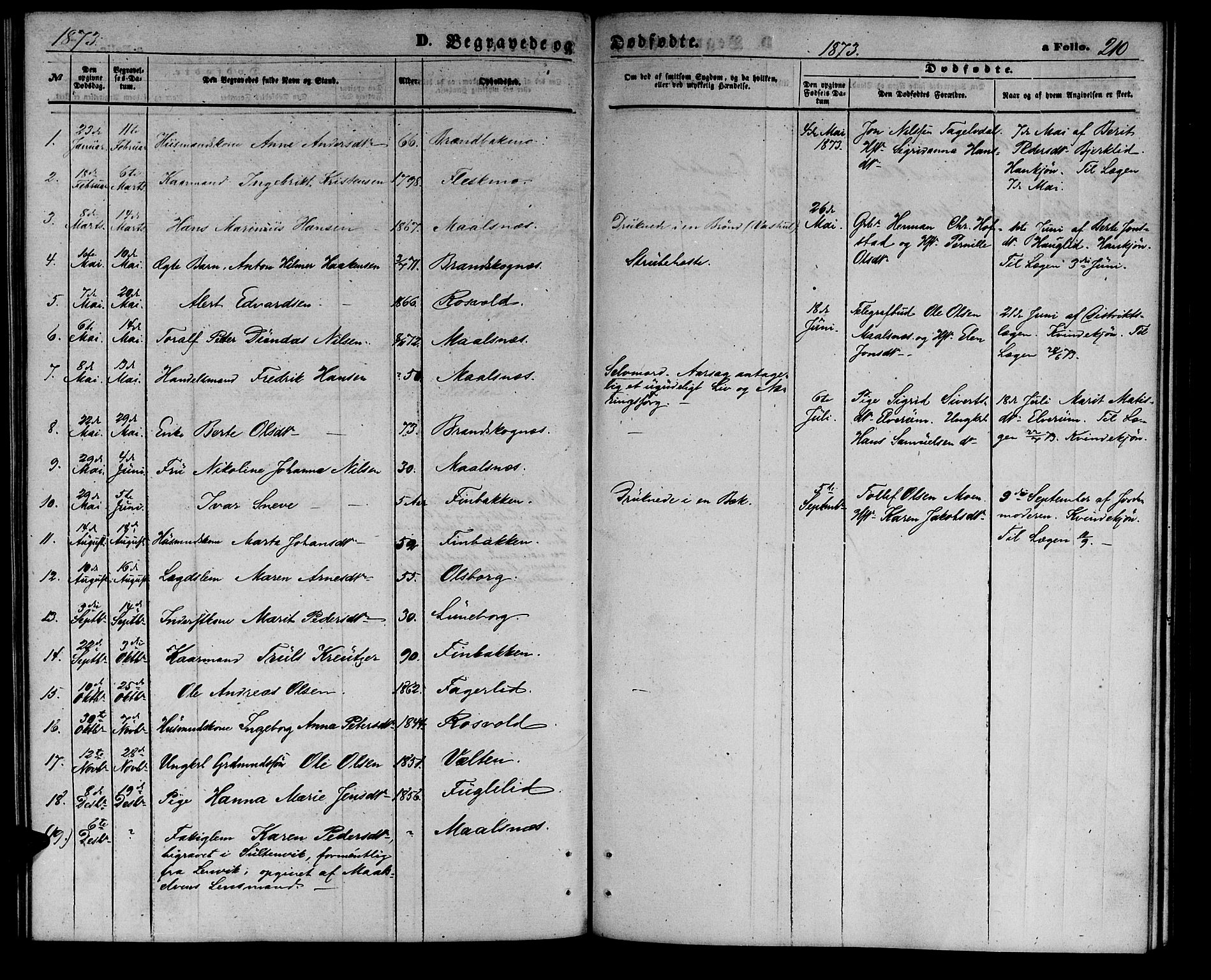 Målselv sokneprestembete, SATØ/S-1311/G/Ga/Gab/L0002klokker: Parish register (copy) no. 2, 1865-1873, p. 210