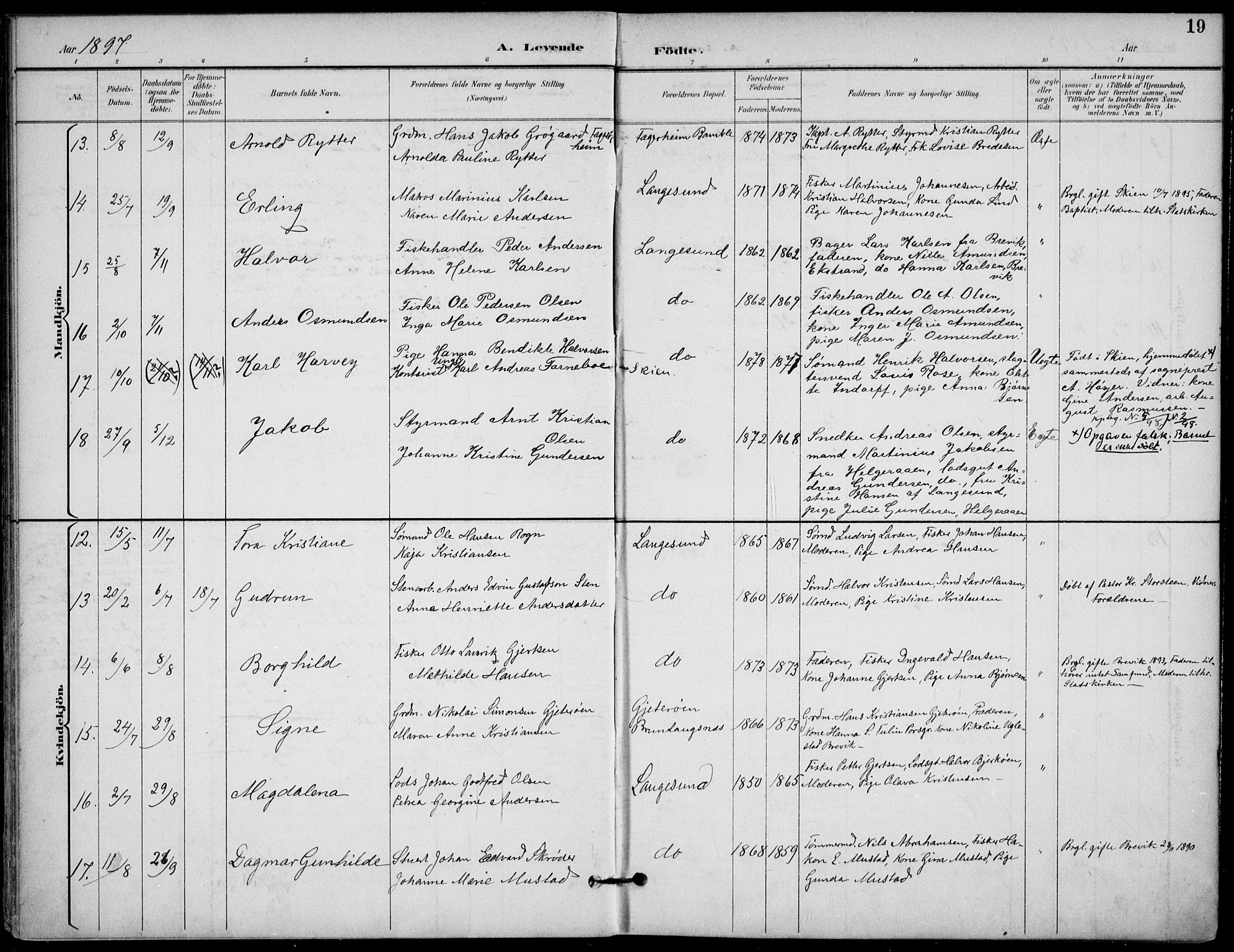Langesund kirkebøker, SAKO/A-280/F/Fa/L0003: Parish register (official) no. 3, 1893-1907, p. 19