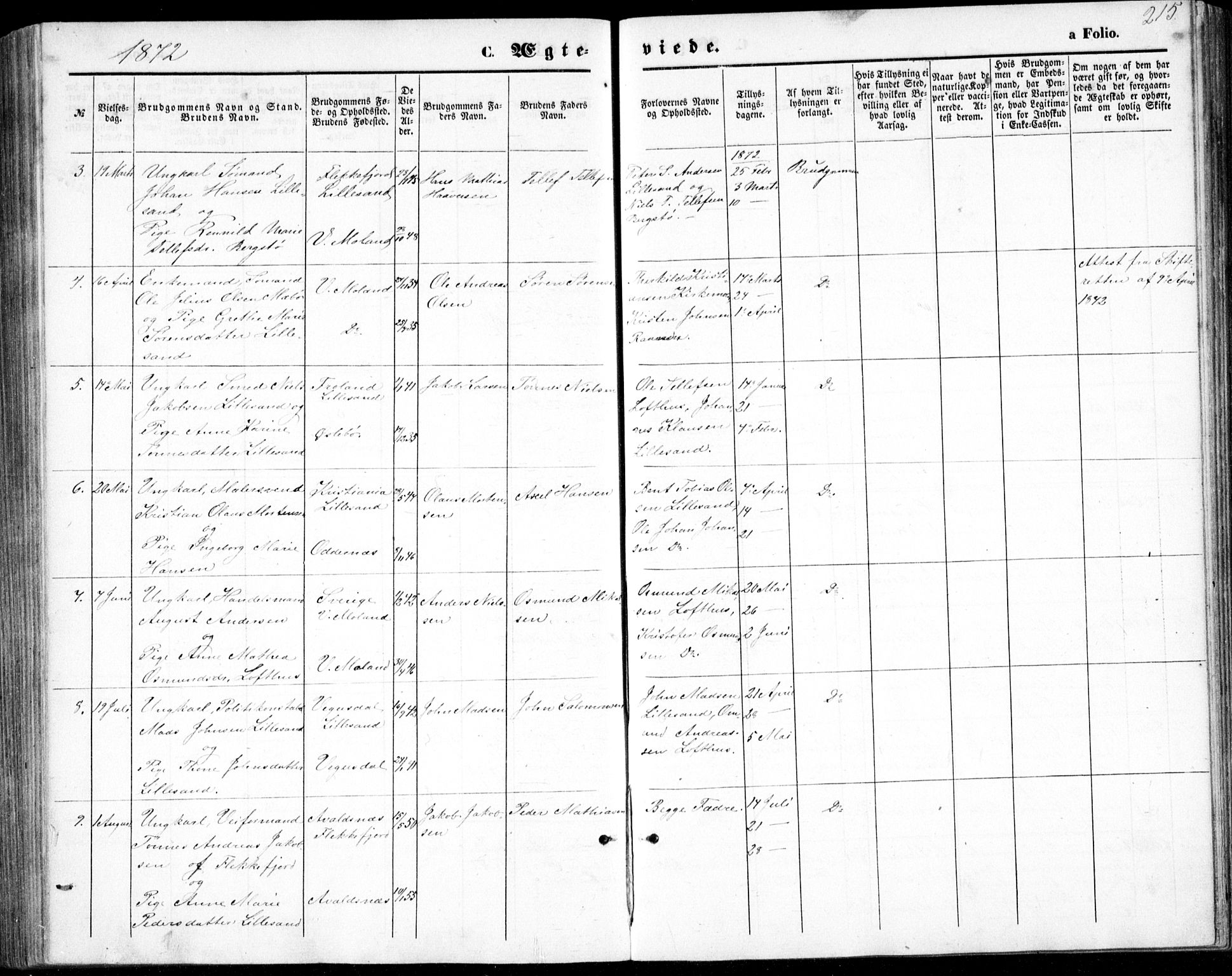 Vestre Moland sokneprestkontor, AV/SAK-1111-0046/F/Fb/Fbb/L0004: Parish register (copy) no. B 4, 1861-1872, p. 215