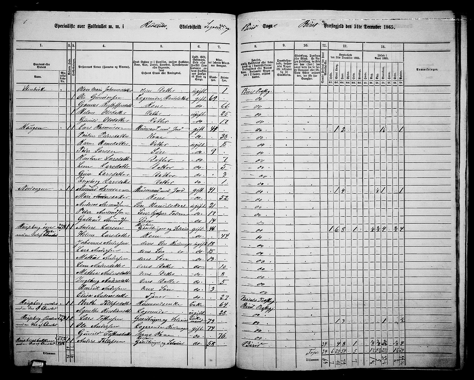 RA, 1865 census for Biri, 1865, p. 200