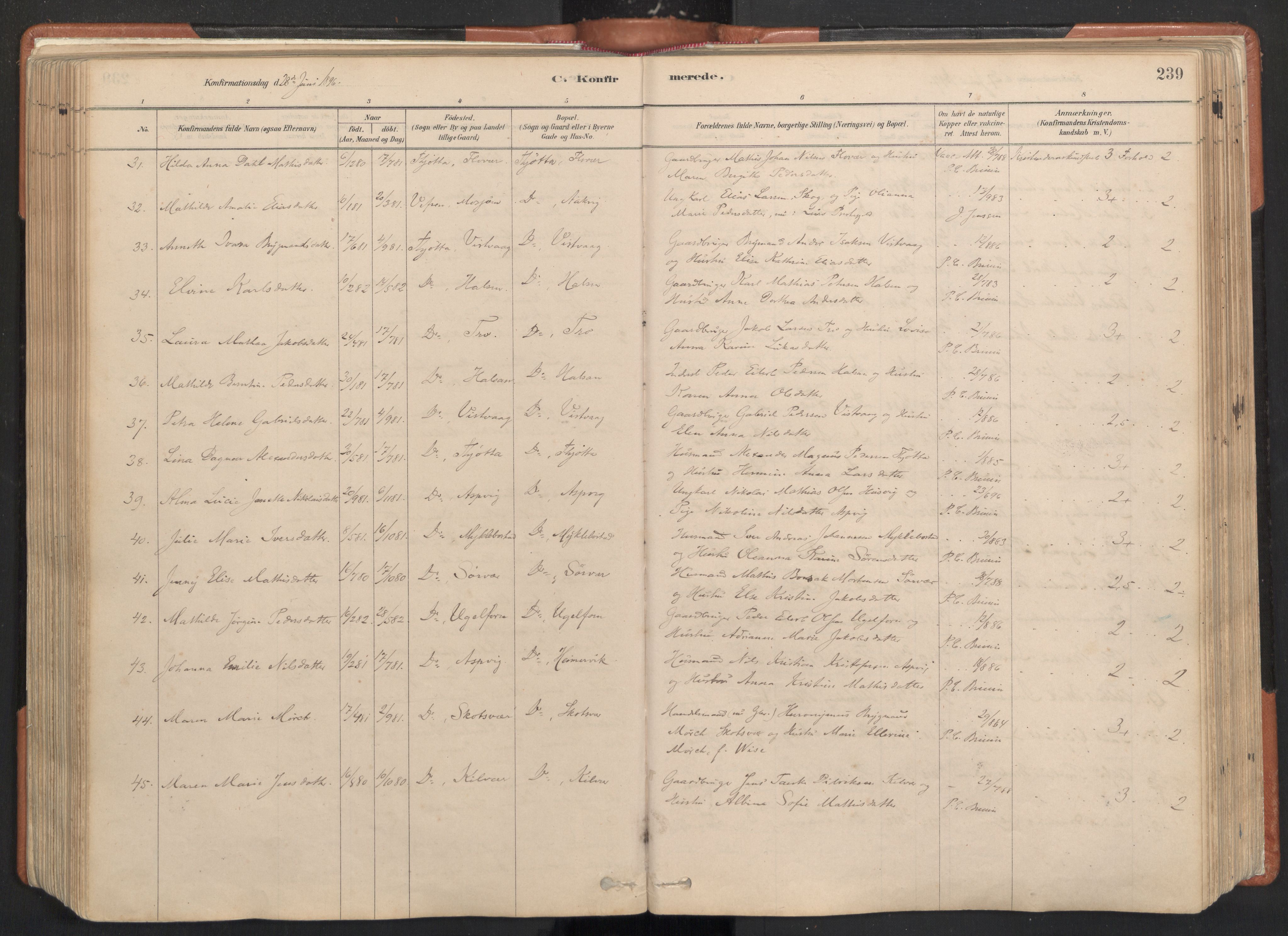 Ministerialprotokoller, klokkerbøker og fødselsregistre - Nordland, AV/SAT-A-1459/817/L0264: Parish register (official) no. 817A04, 1878-1907, p. 239