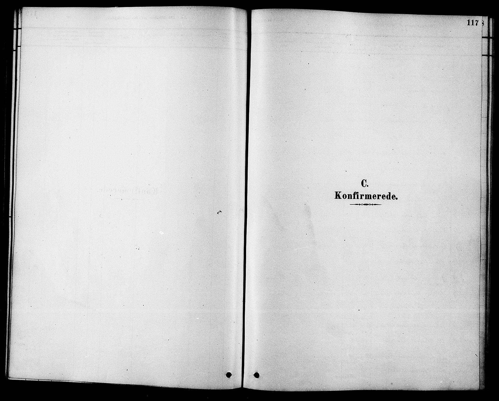 Hole kirkebøker, SAKO/A-228/F/Fa/L0008: Parish register (official) no. I 8, 1878-1891, p. 117