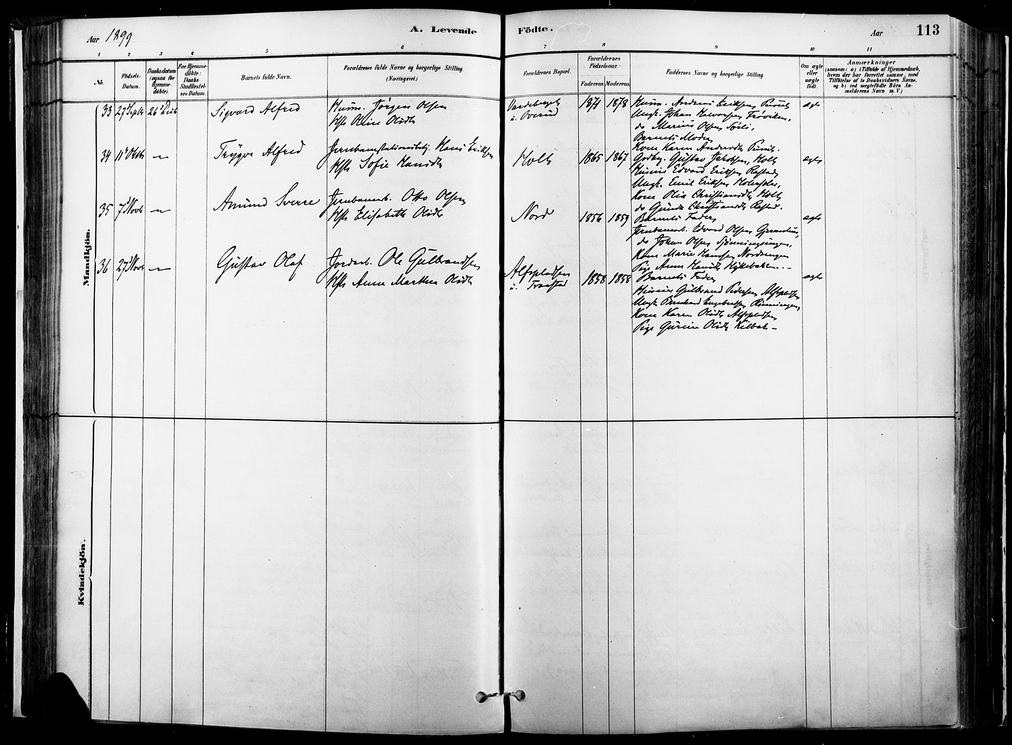 Vinger prestekontor, AV/SAH-PREST-024/H/Ha/Haa/L0014: Parish register (official) no. 14, 1881-1900, p. 113