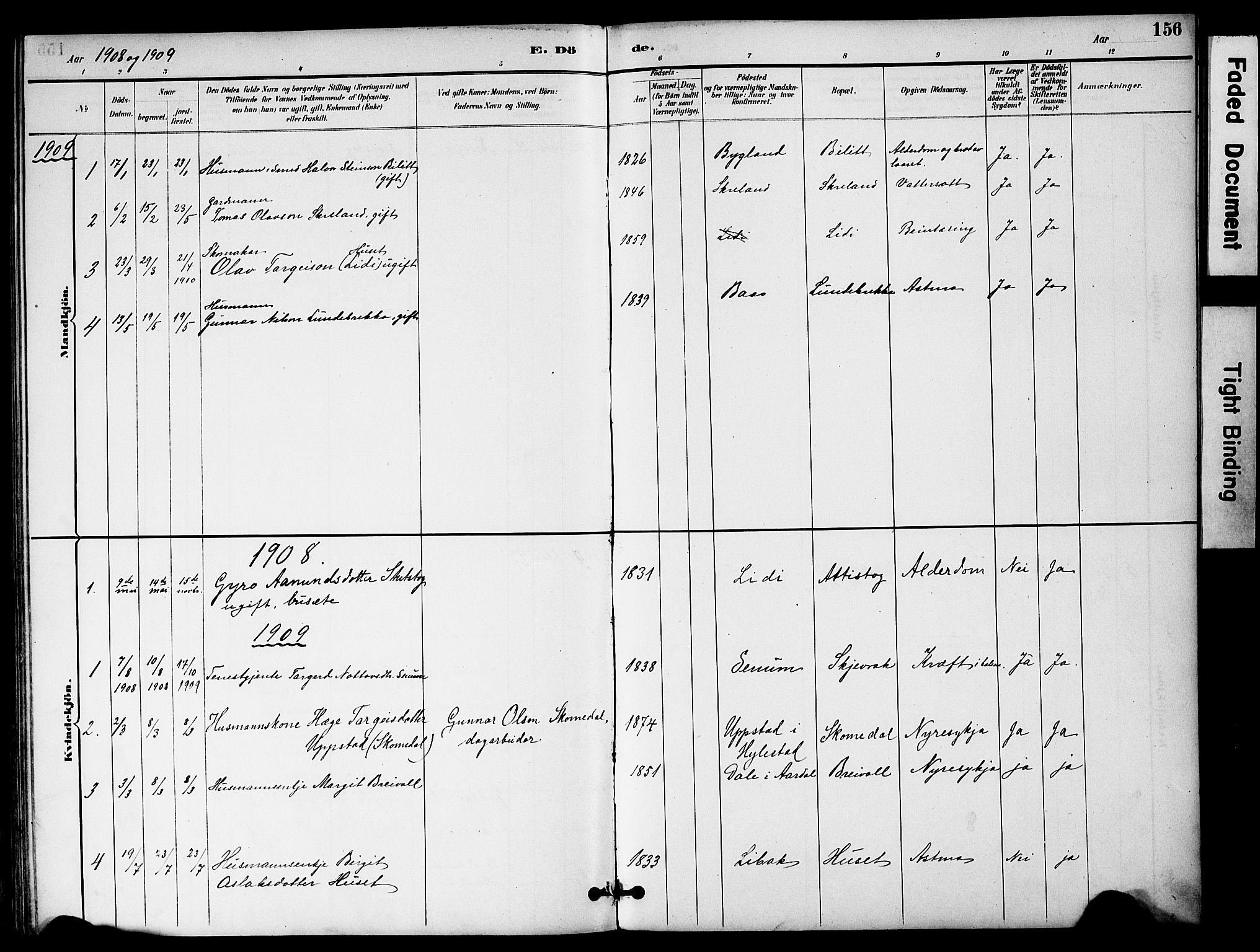 Bygland sokneprestkontor, AV/SAK-1111-0006/F/Fa/Fab/L0007: Parish register (official) no. A 7, 1885-1909, p. 156