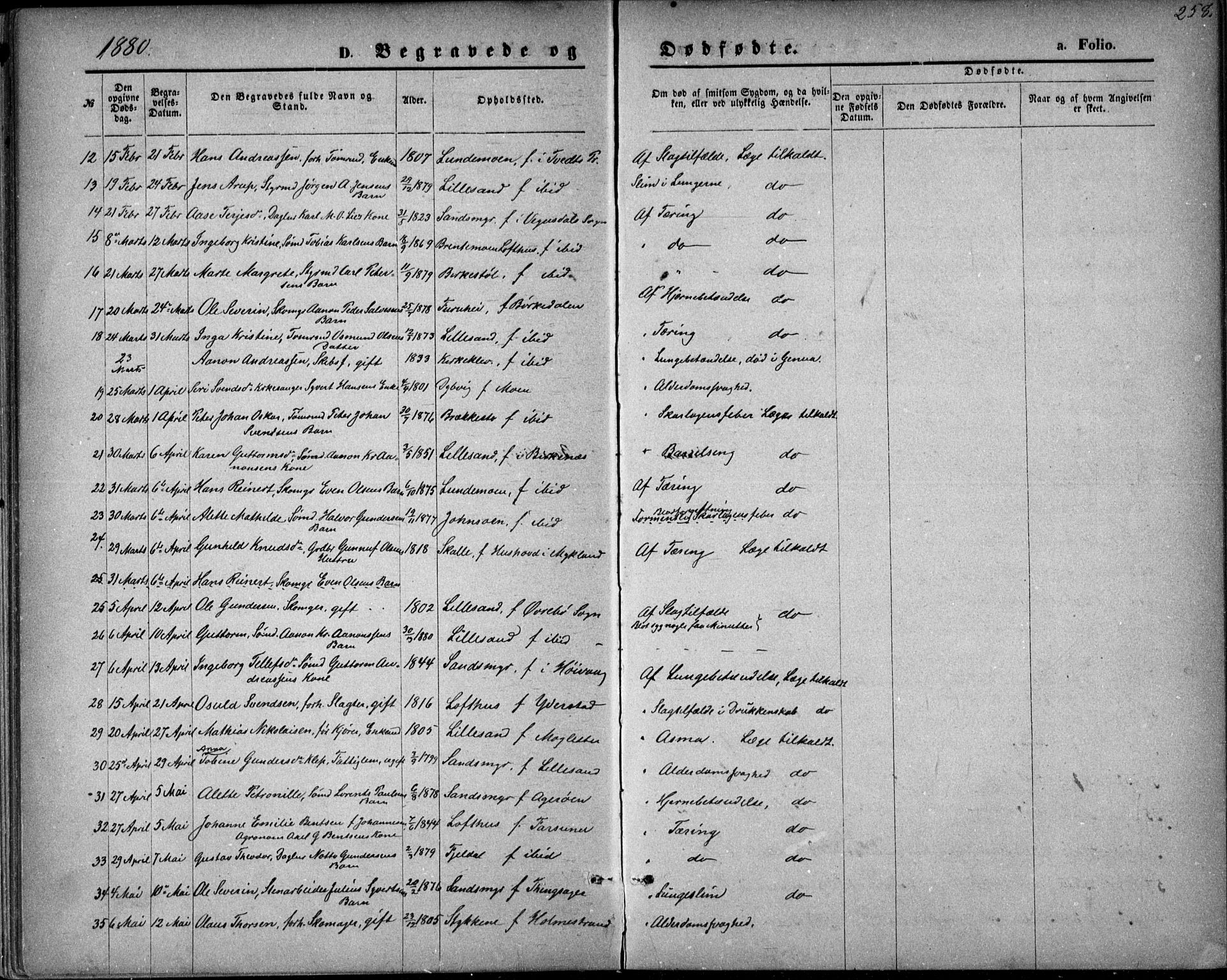 Vestre Moland sokneprestkontor, SAK/1111-0046/F/Fb/Fbb/L0005: Parish register (copy) no. B 5, 1872-1883, p. 258