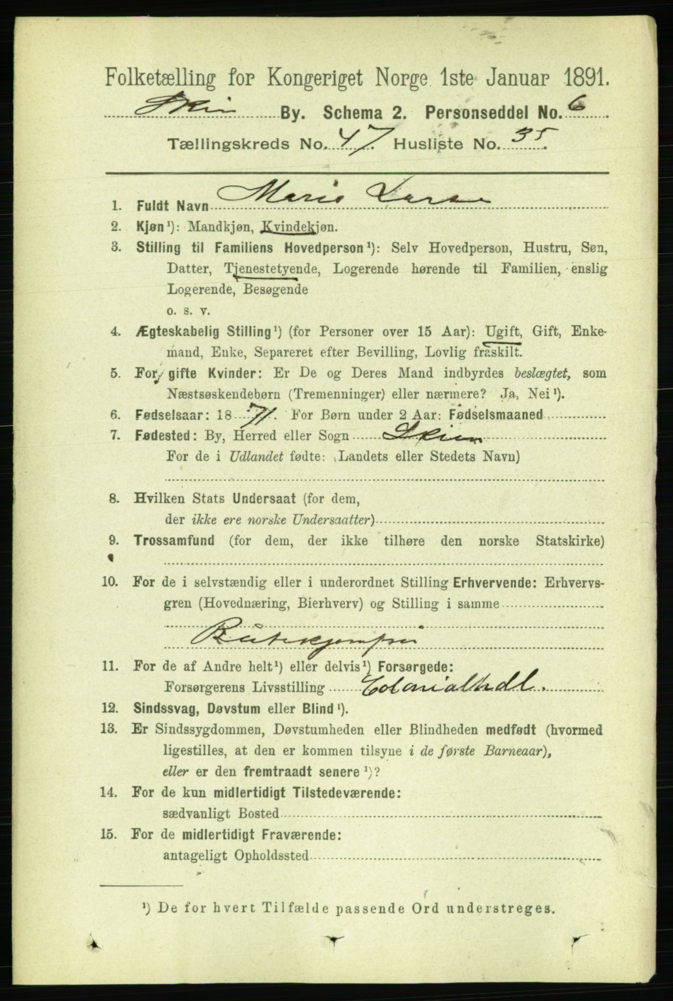 RA, 1891 census for 0806 Skien, 1891, p. 9516