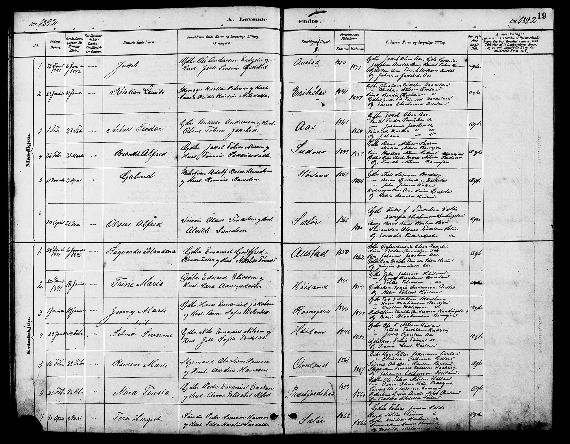 Lyngdal sokneprestkontor, SAK/1111-0029/F/Fb/Fba/L0003: Parish register (copy) no. B 3, 1886-1903, p. 19