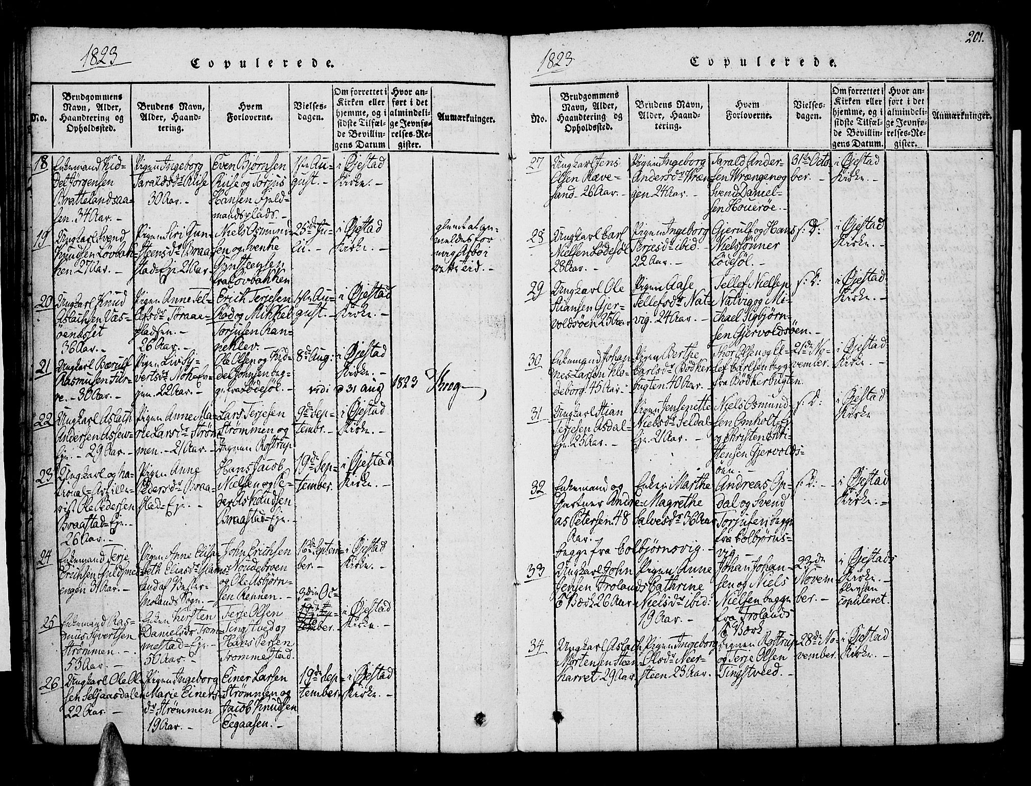 Øyestad sokneprestkontor, AV/SAK-1111-0049/F/Fa/L0012: Parish register (official) no. A 12, 1816-1827, p. 201