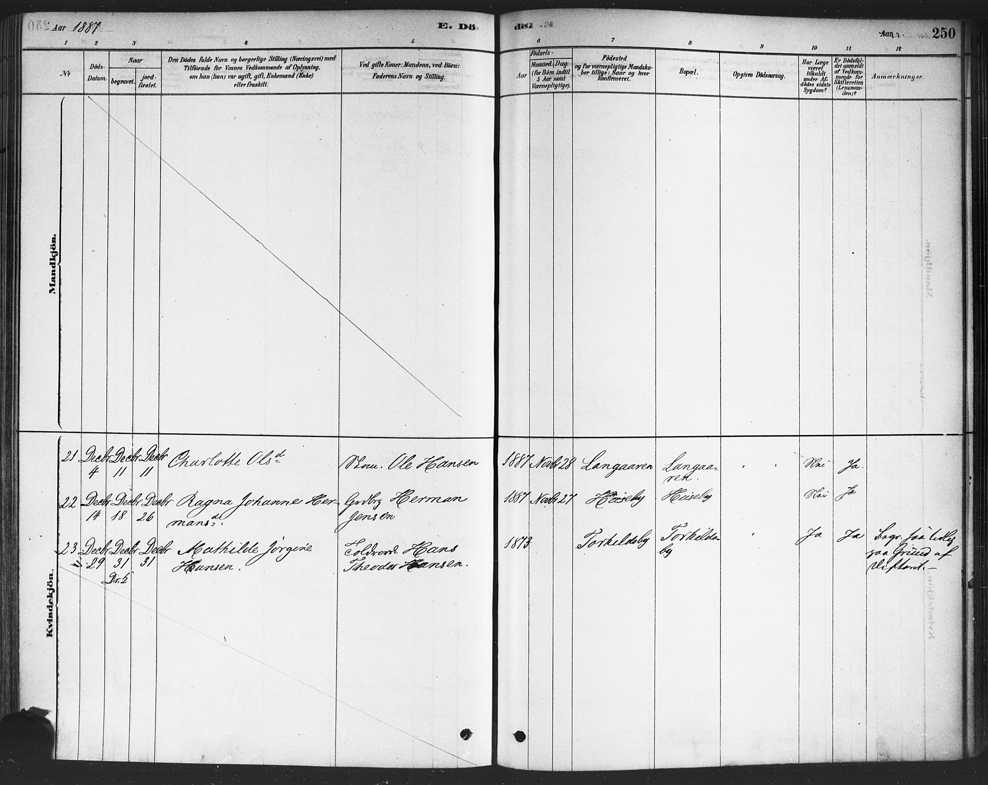 Drøbak prestekontor Kirkebøker, SAO/A-10142a/F/Fc/L0002: Parish register (official) no. III 2, 1878-1891, p. 250