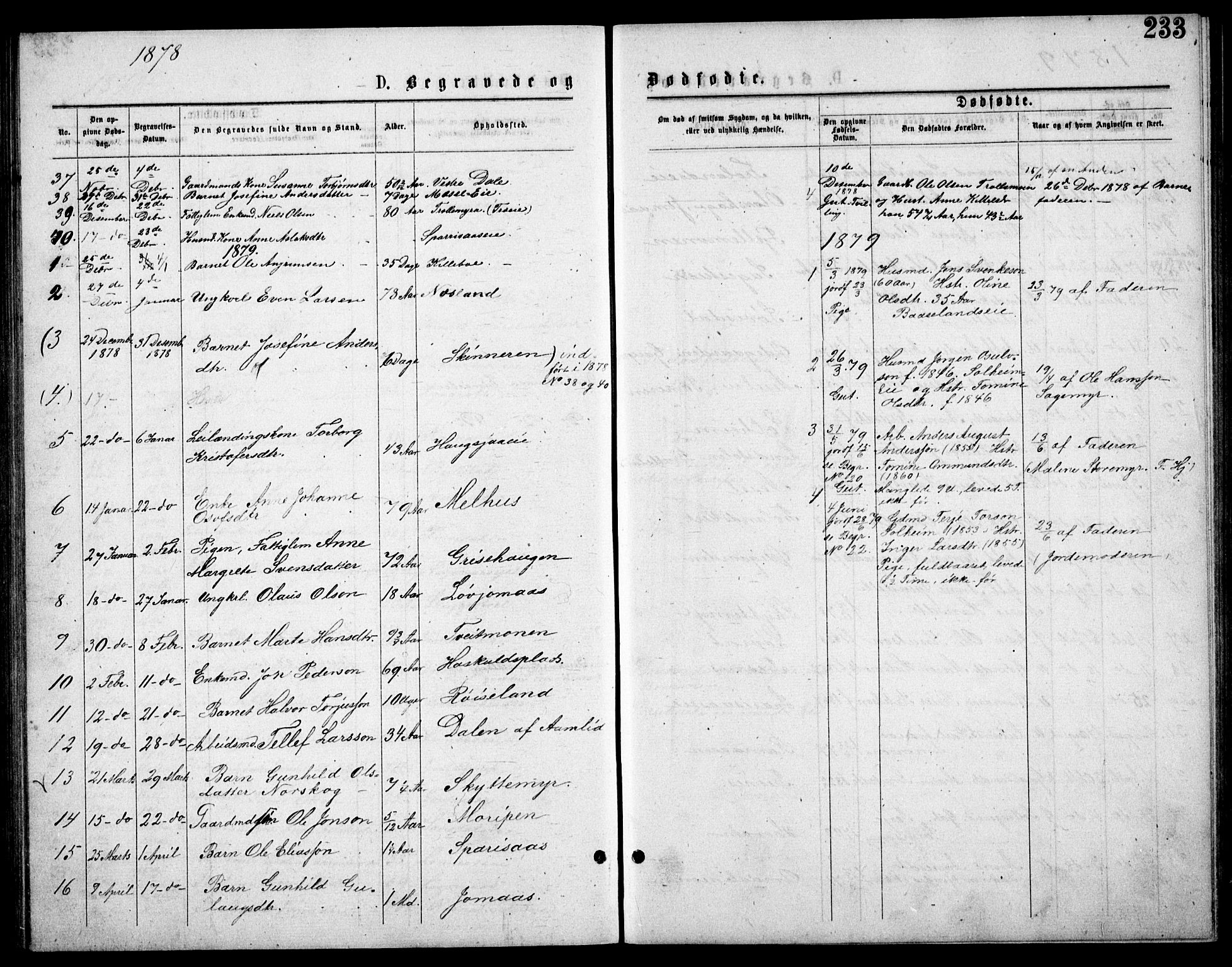 Froland sokneprestkontor, AV/SAK-1111-0013/F/Fb/L0009: Parish register (copy) no. B 9, 1875-1893, p. 233