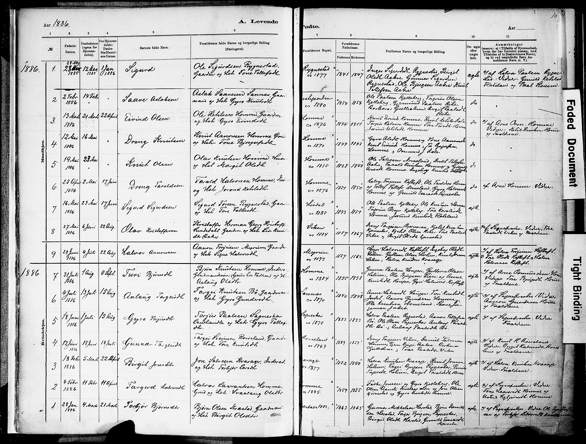 Valle sokneprestkontor, AV/SAK-1111-0044/F/Fa/Fac/L0009: Parish register (official) no. A 9, 1882-1913, p. 10