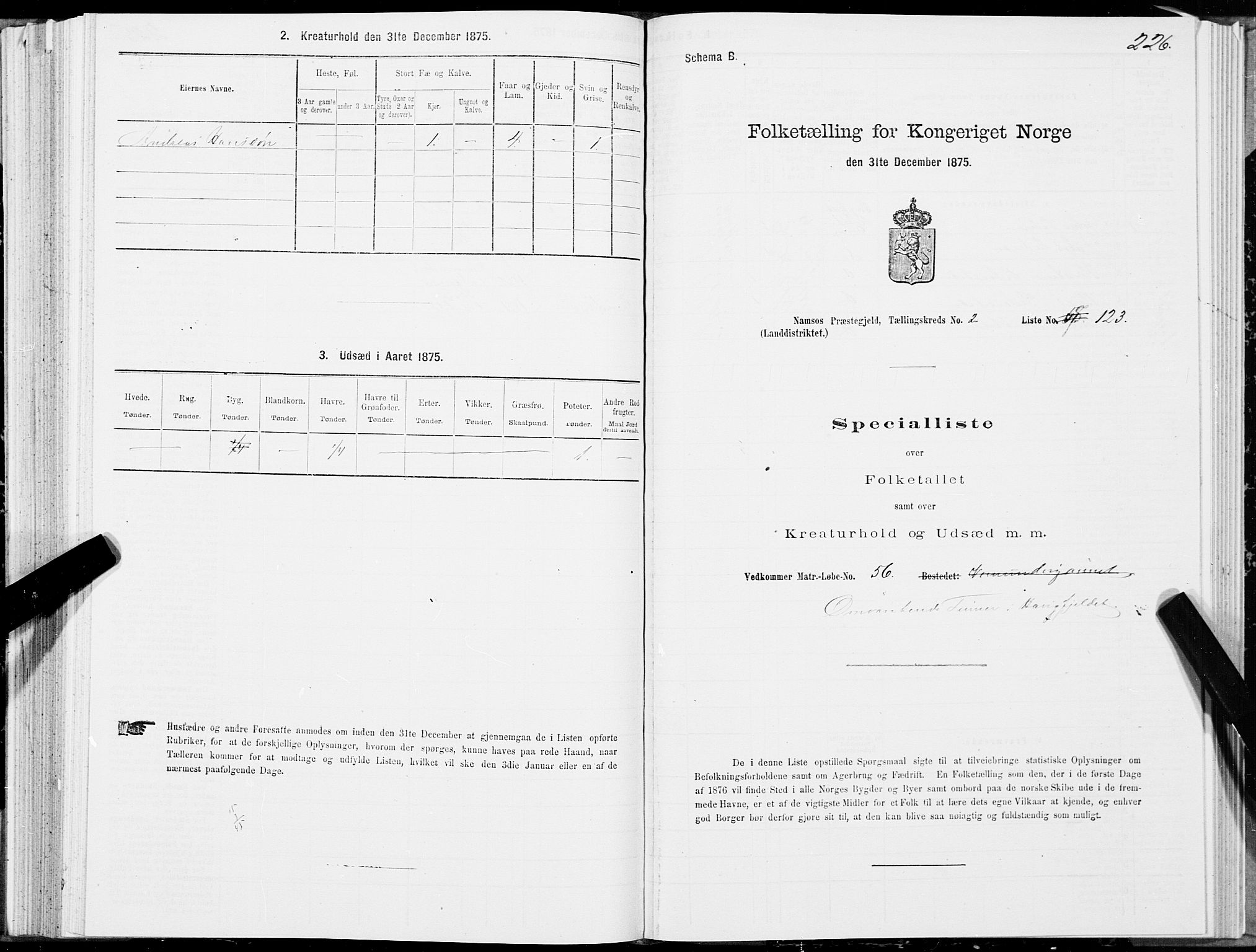 SAT, 1875 census for 1745L Namsos/Vemundvik og Sævik, 1875, p. 2226