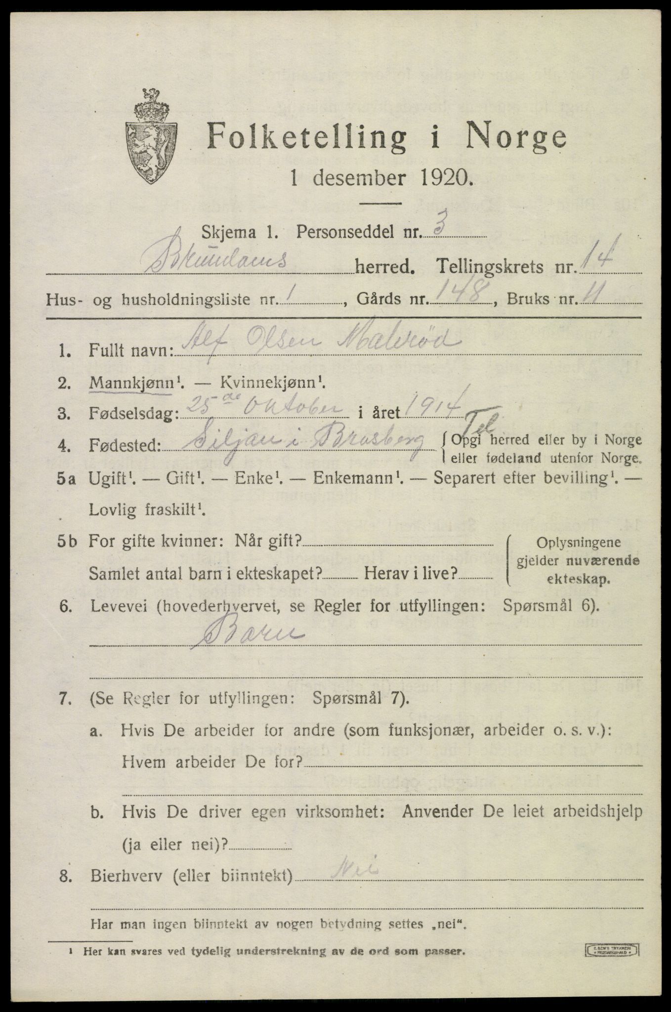 SAKO, 1920 census for Brunlanes, 1920, p. 11347