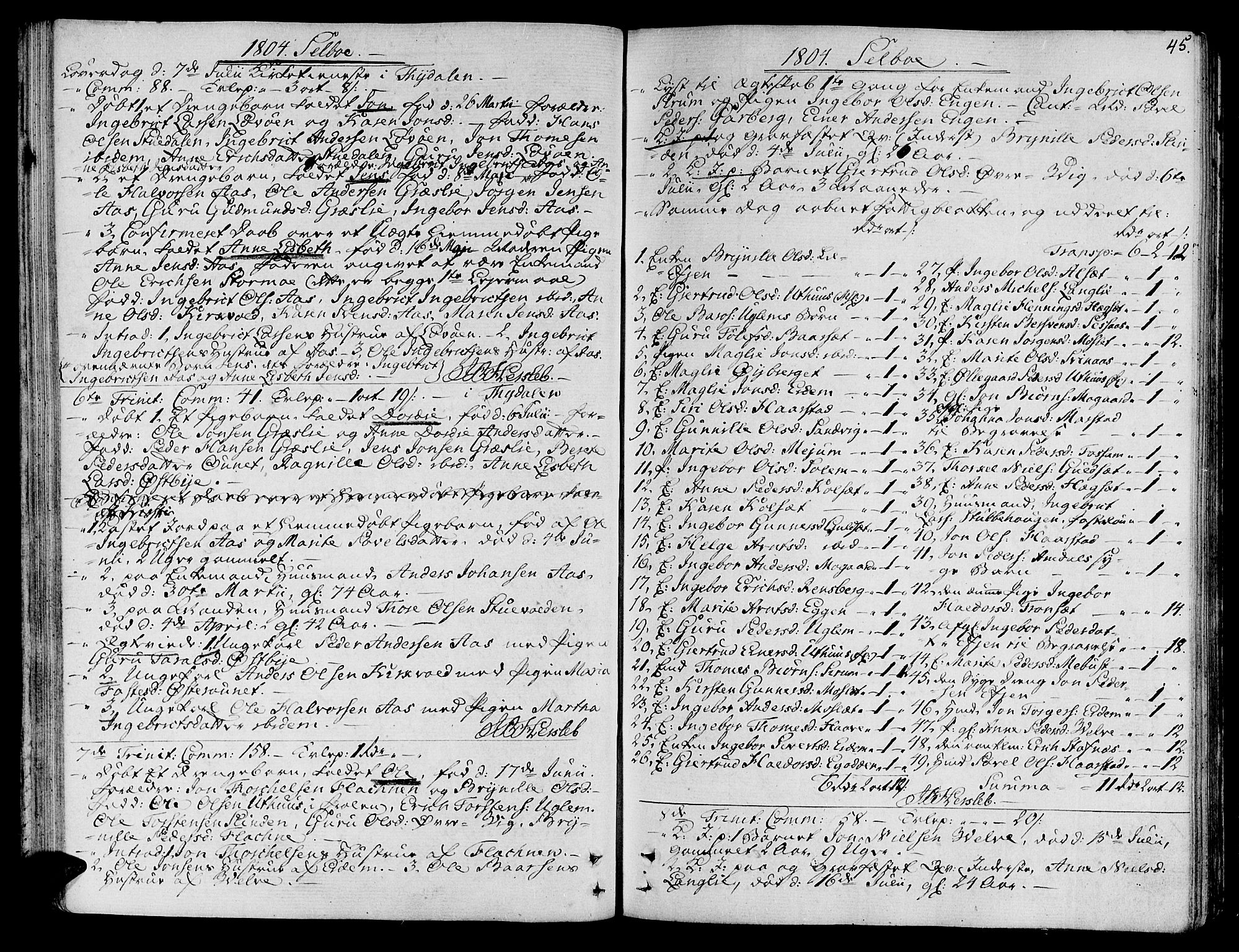 Ministerialprotokoller, klokkerbøker og fødselsregistre - Sør-Trøndelag, SAT/A-1456/695/L1140: Parish register (official) no. 695A03, 1801-1815, p. 45