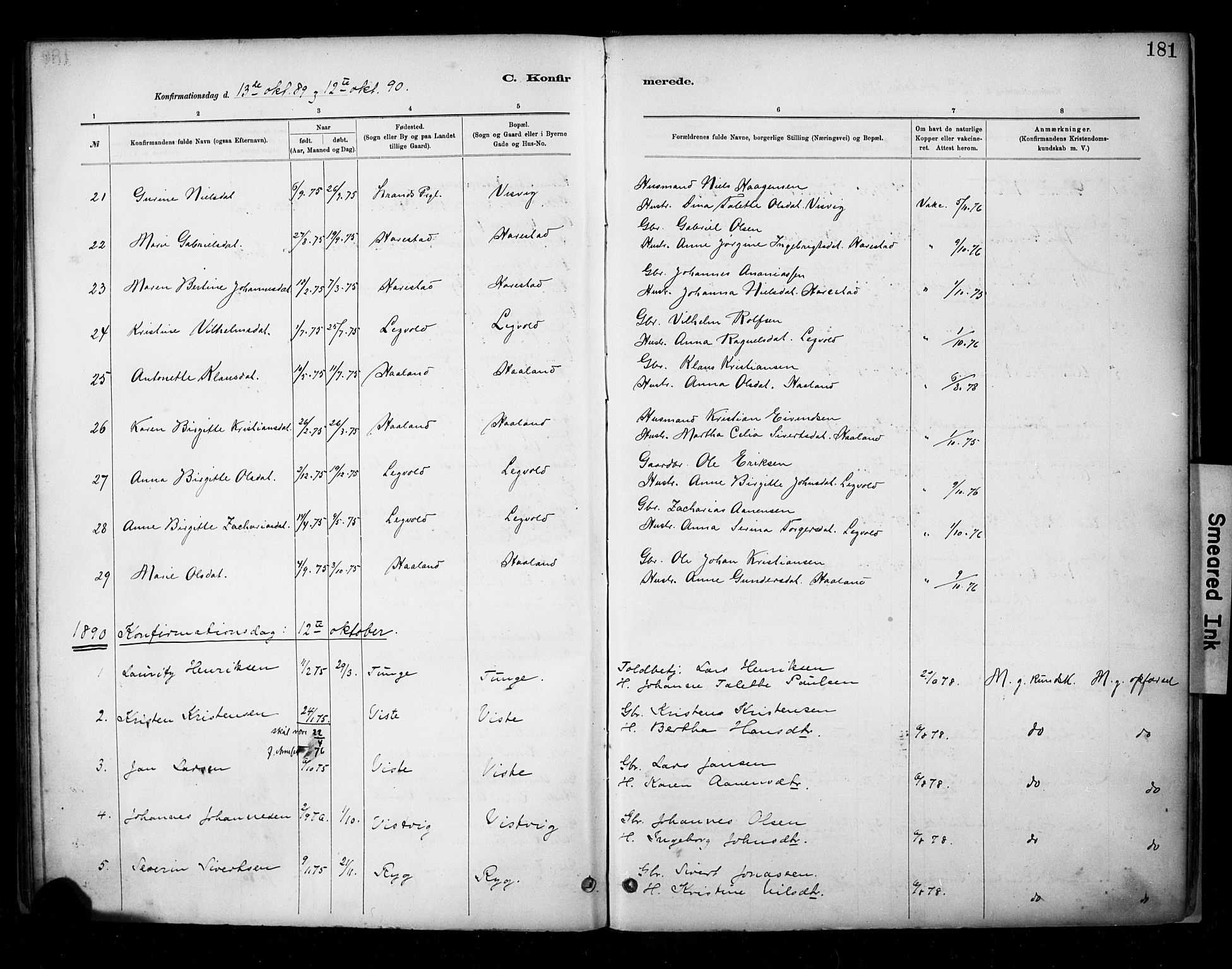 Hetland sokneprestkontor, SAST/A-101826/30/30BA/L0009: Parish register (official) no. A 9, 1882-1918, p. 181