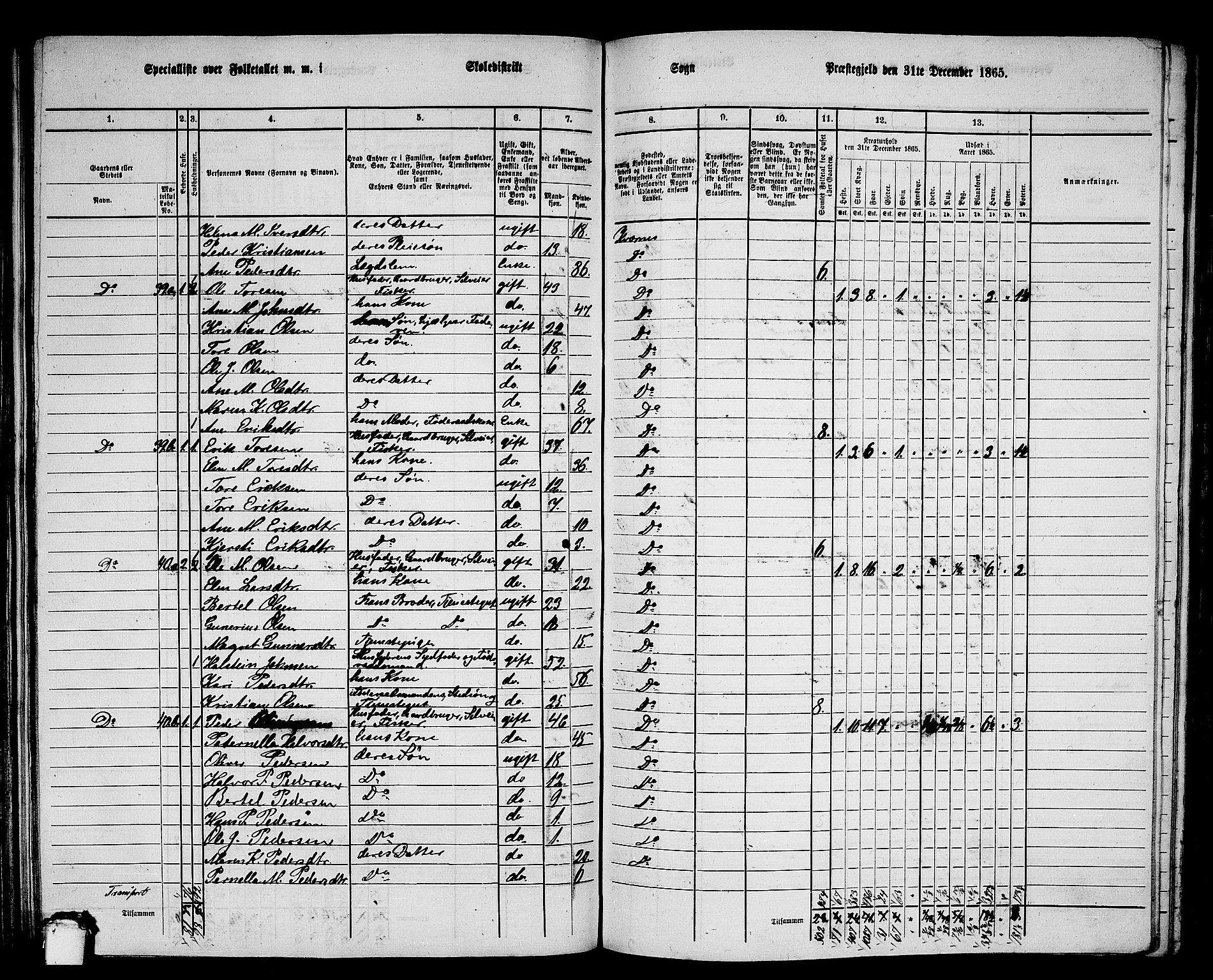 RA, 1865 census for Kvernes, 1865, p. 123