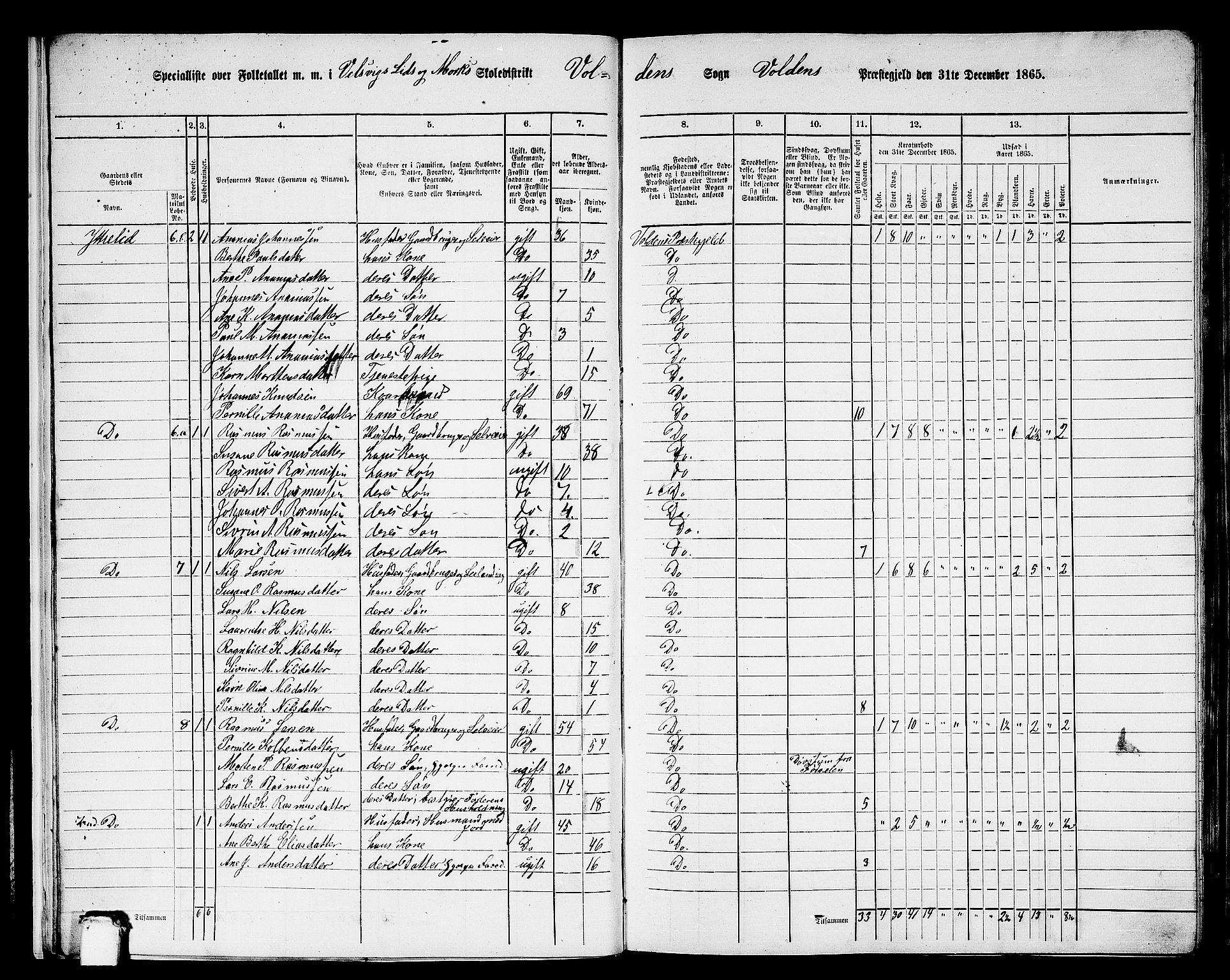 RA, 1865 census for Volda, 1865, p. 17